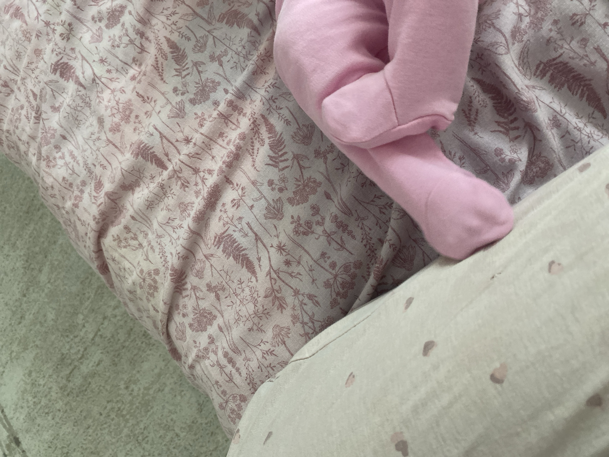 Morning life captured in Blagoevgrad: streets, flowers, baby