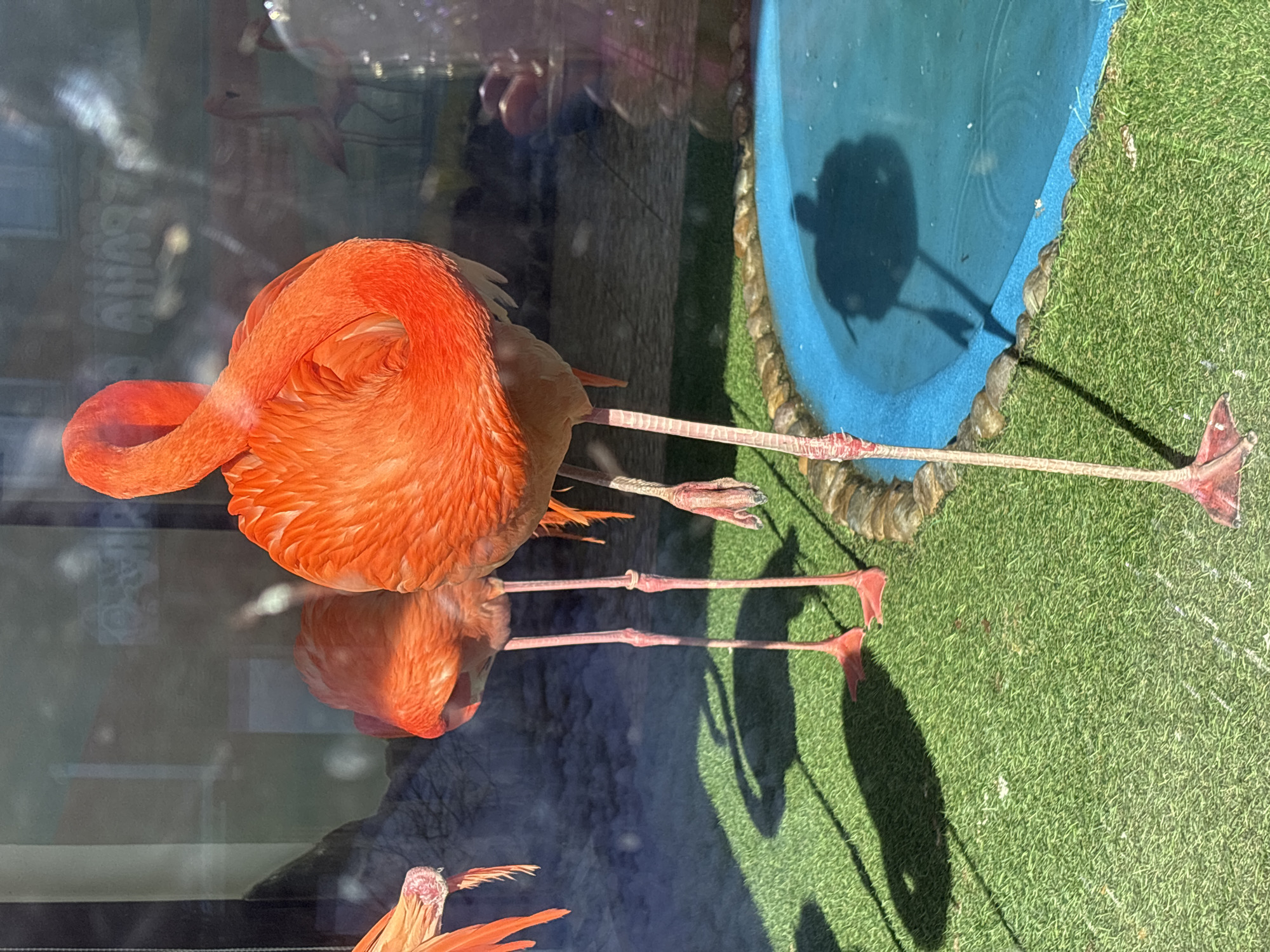 Spring zoo visit captures diverse animals, melting snow conditions