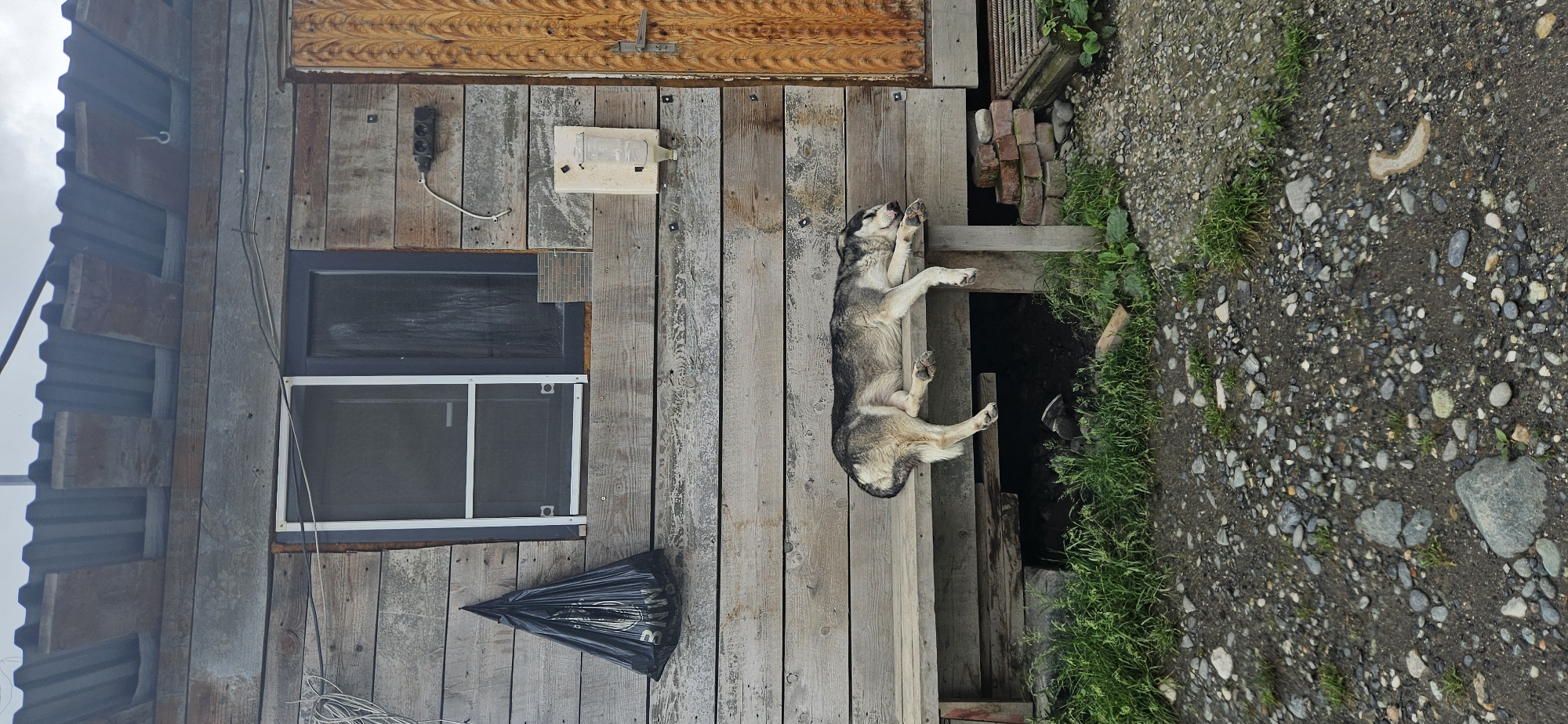 Dog naps on a wooden bench outside a weathered building