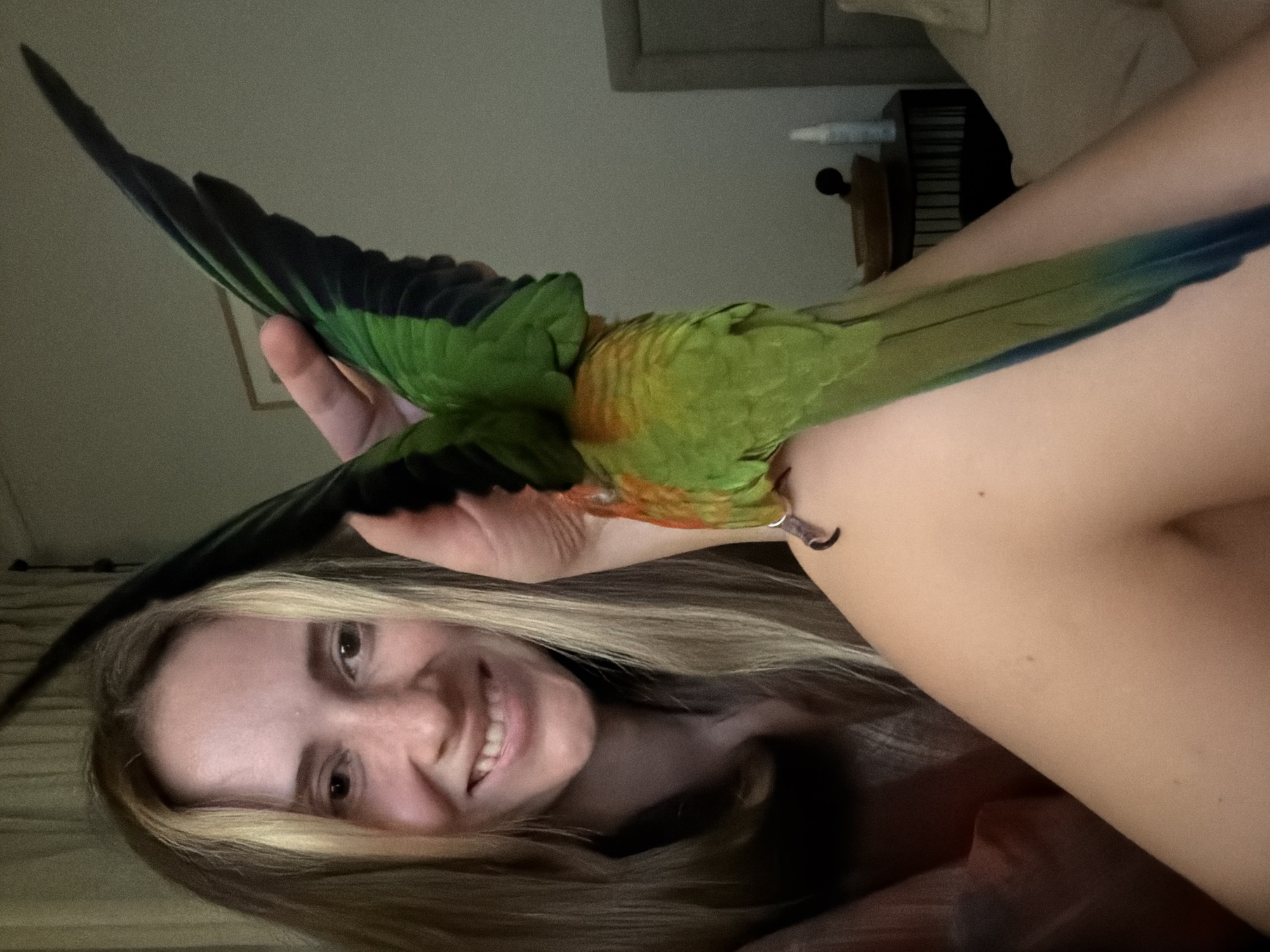Up close with a Sun Conure: a colorful parrot and its person