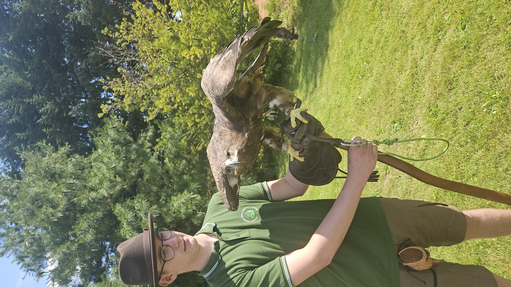 Slovak forestry public event features live falconry display in Prešov