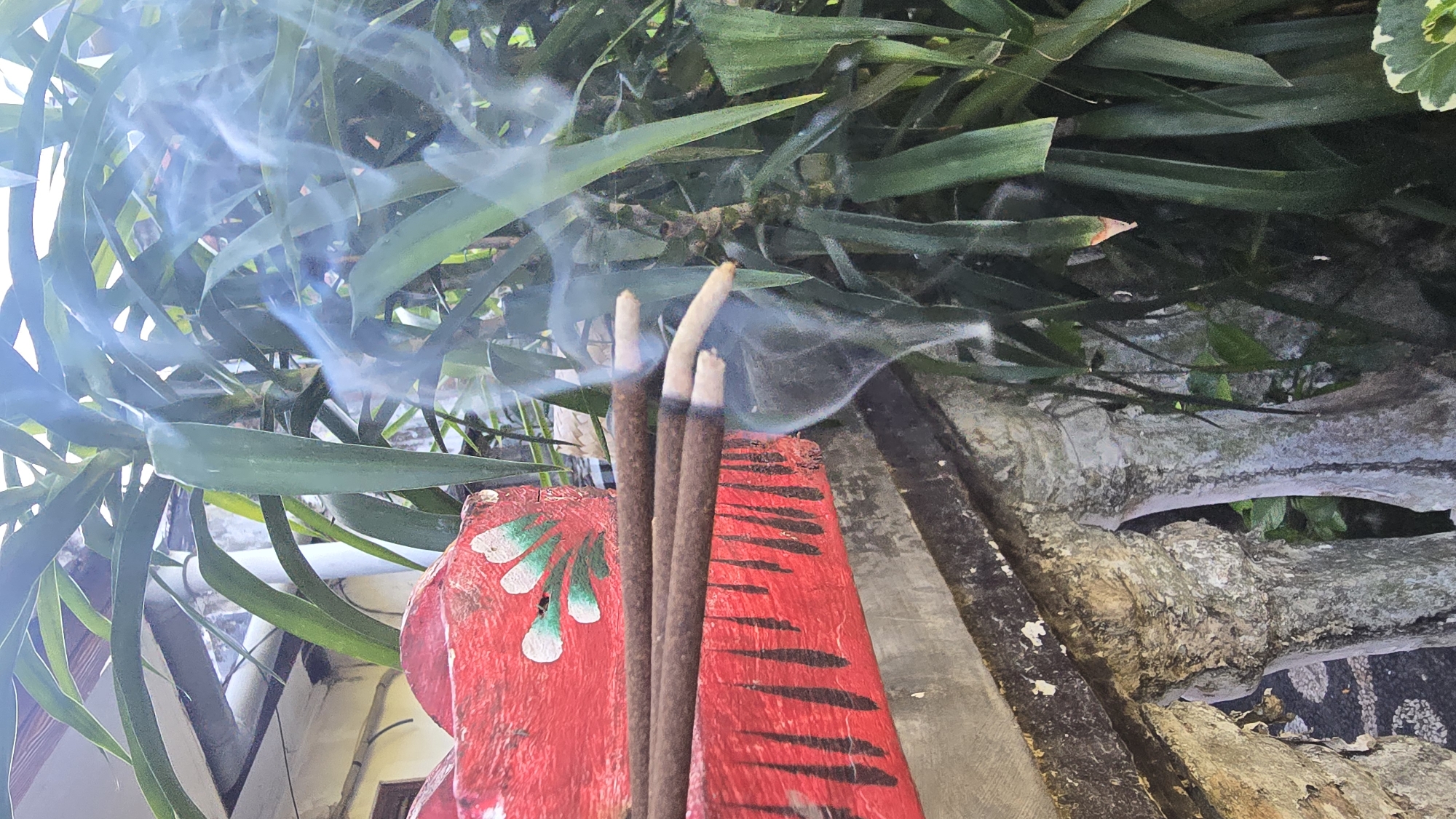 Garden documentation captures plants and Hindu offerings in Banjarangkan