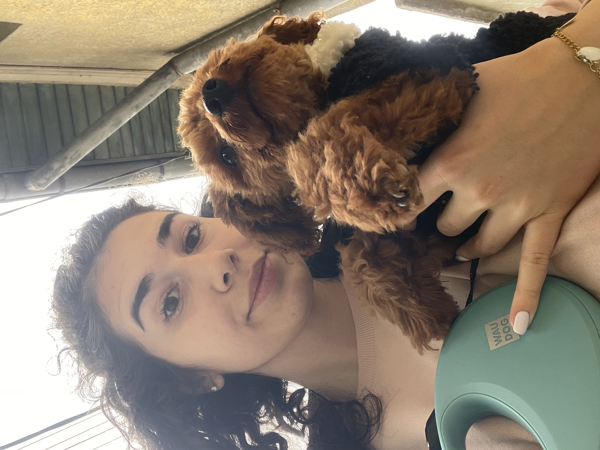Morning dog walk and shopping trip in Sofia