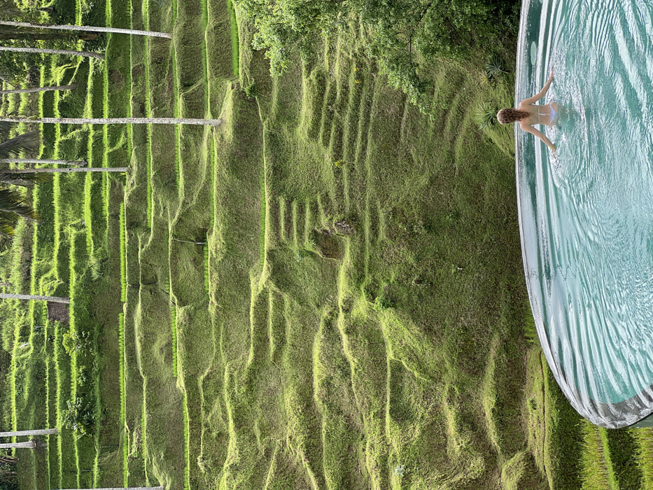 Tourists explore Bali rice terraces, infinity pools, civet coffee farms