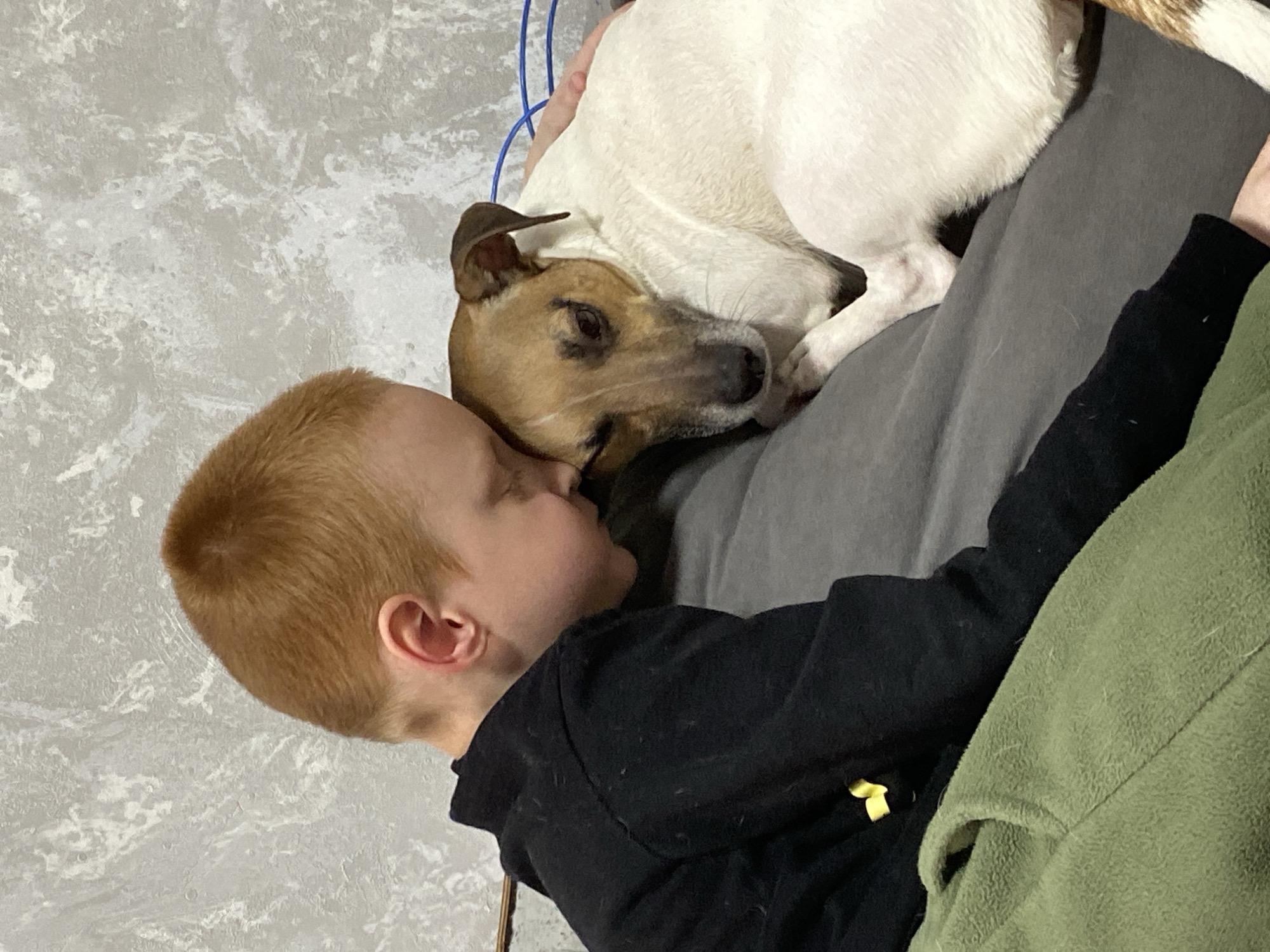 Family life moments with pets captured in Noviy Urengoy