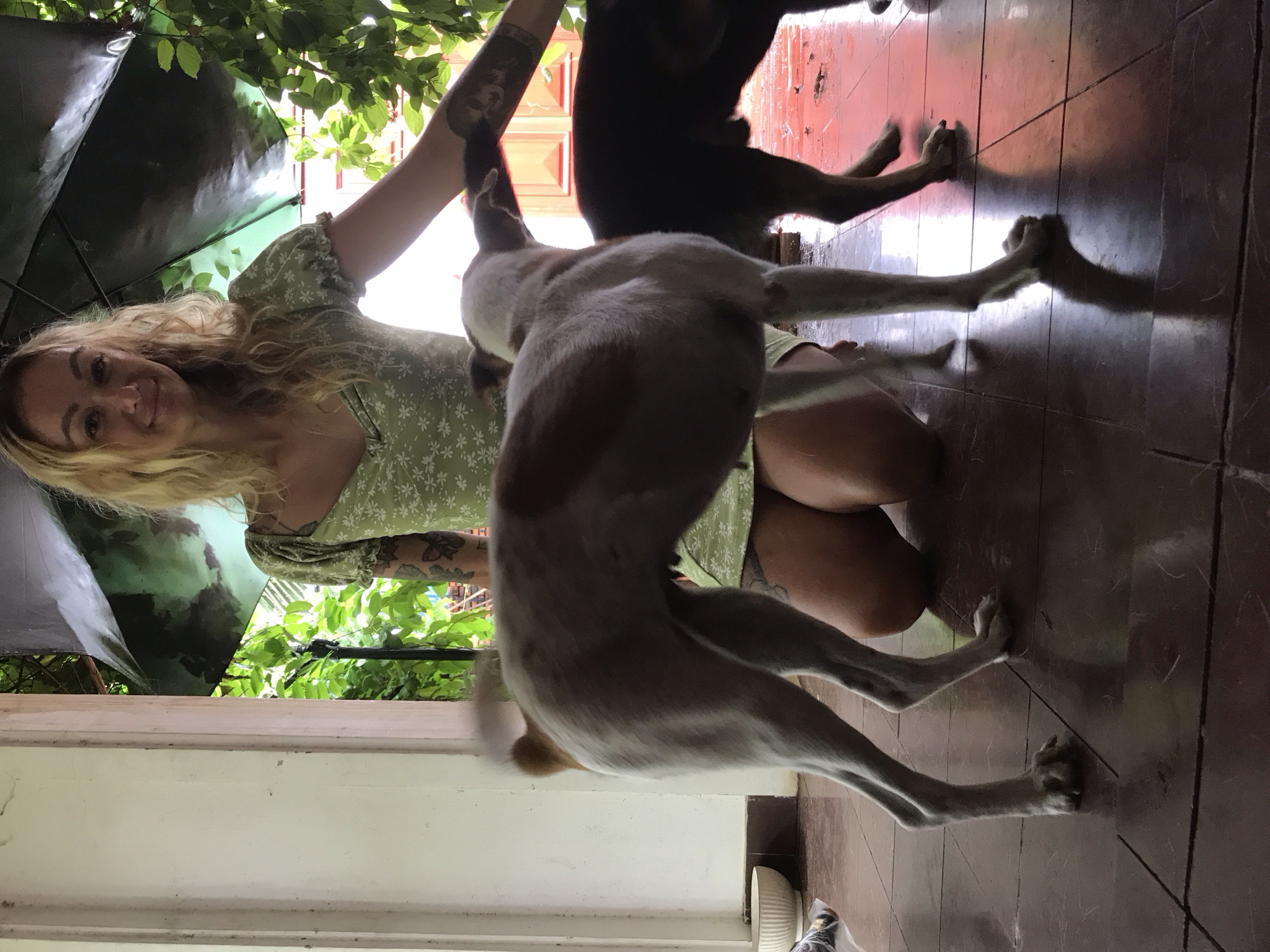 Woman plays with dogs on patio in Mũi Né