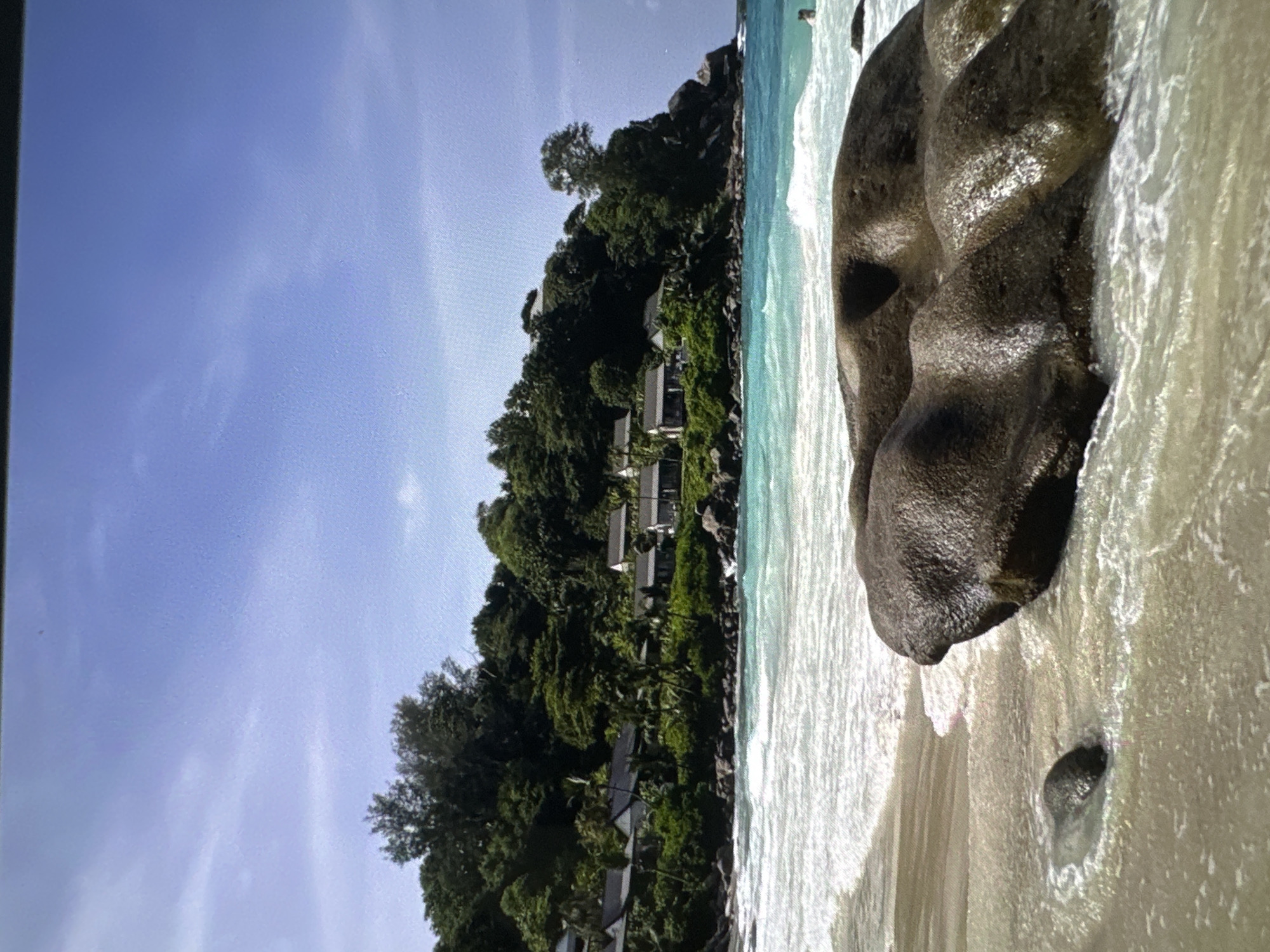 Beach visit and travel moments captured across locations