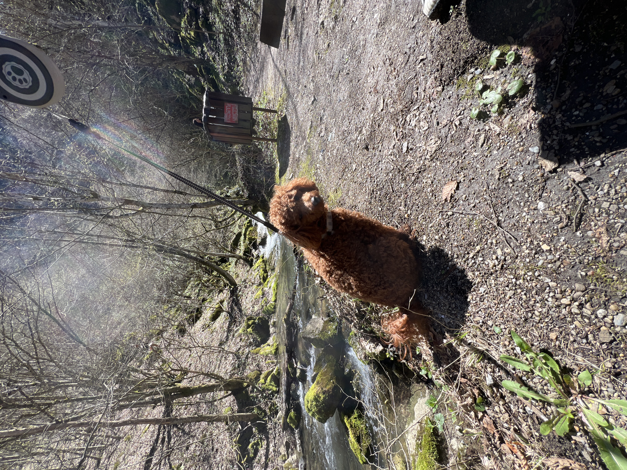 Spring morning visitors explore Teteven's forest streams and waterfalls