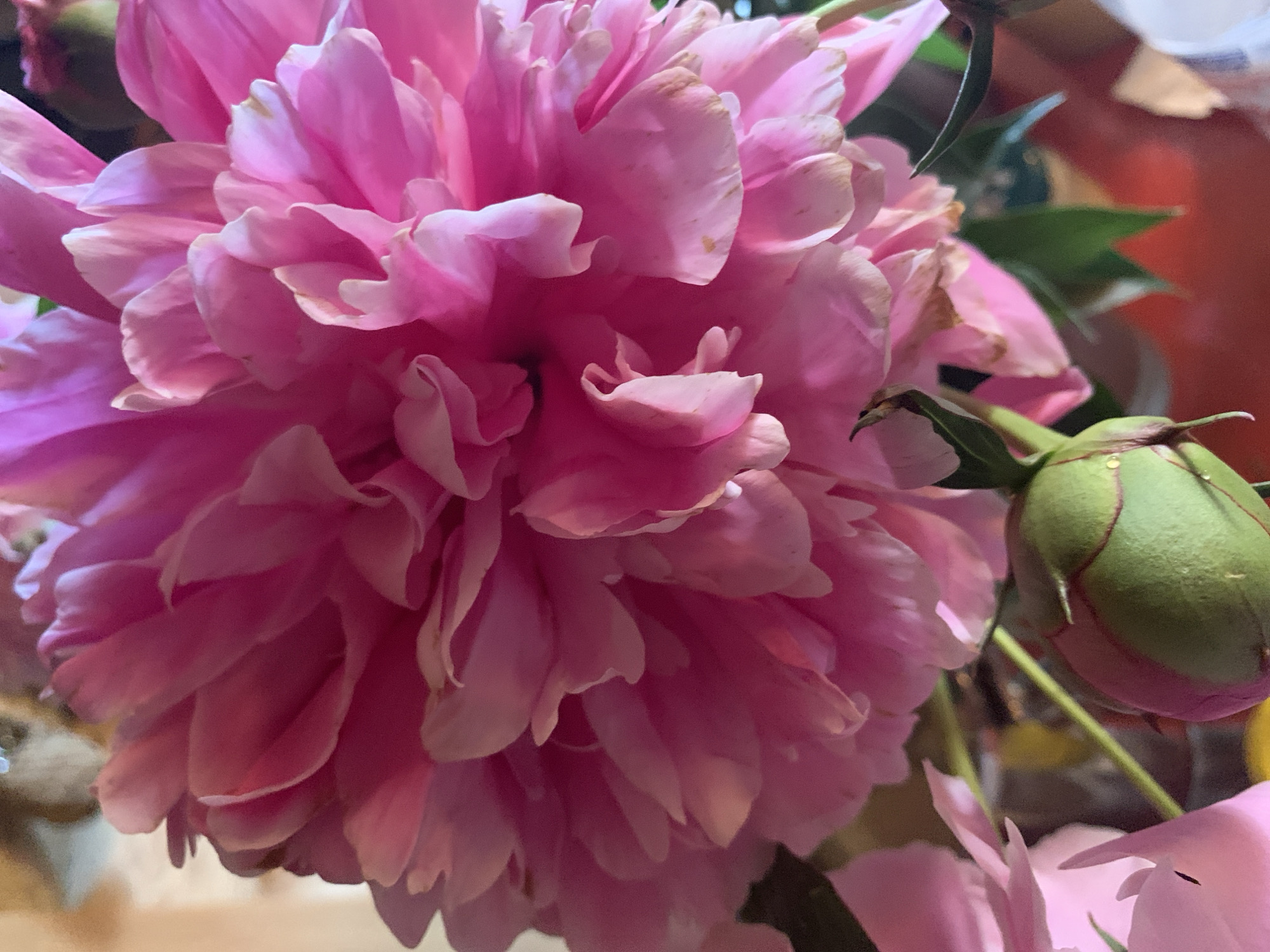 Garden flowers and traditional crafts in rural Russia
