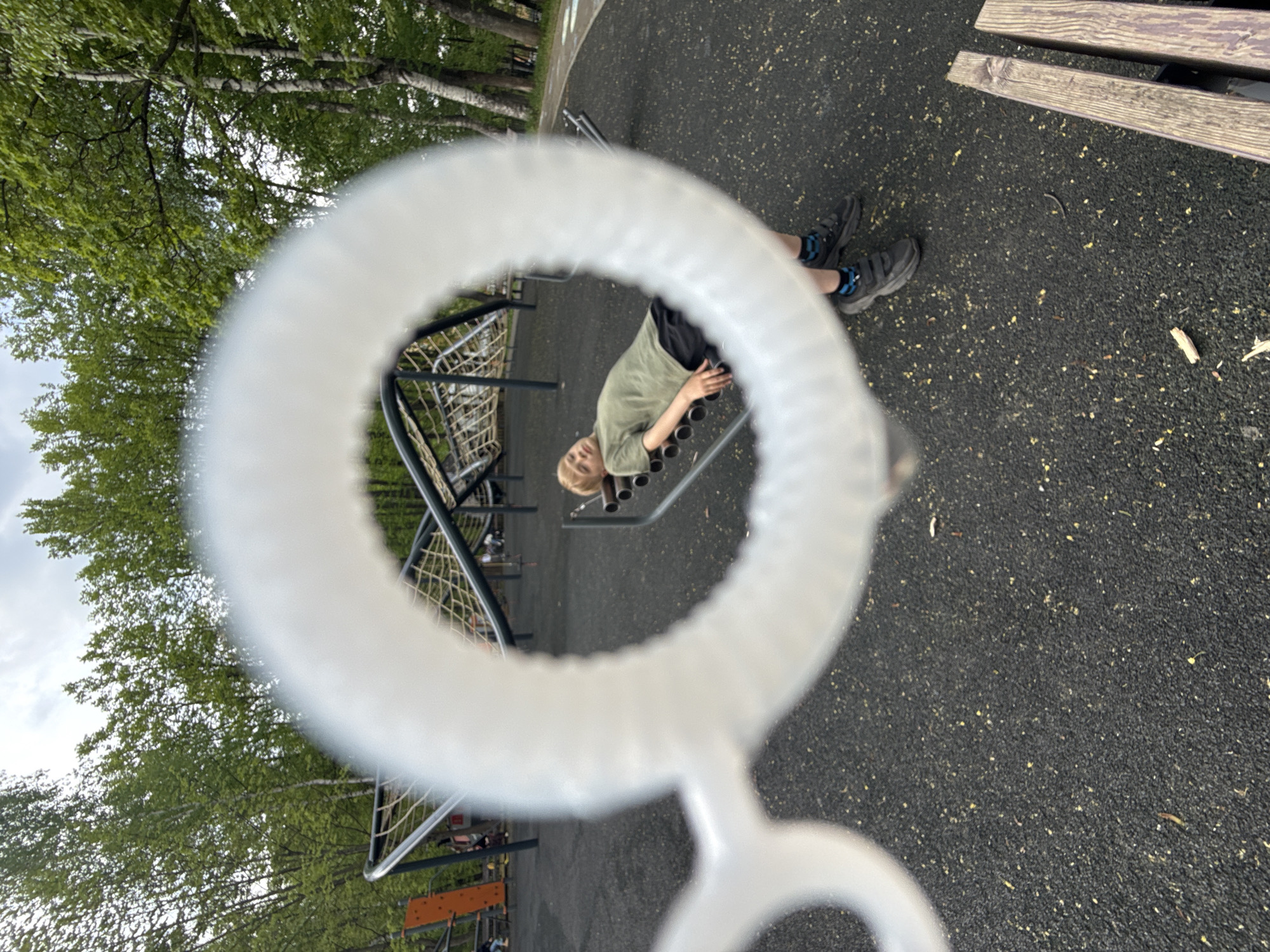Afternoon park activities documented in Dmitrov, Russia