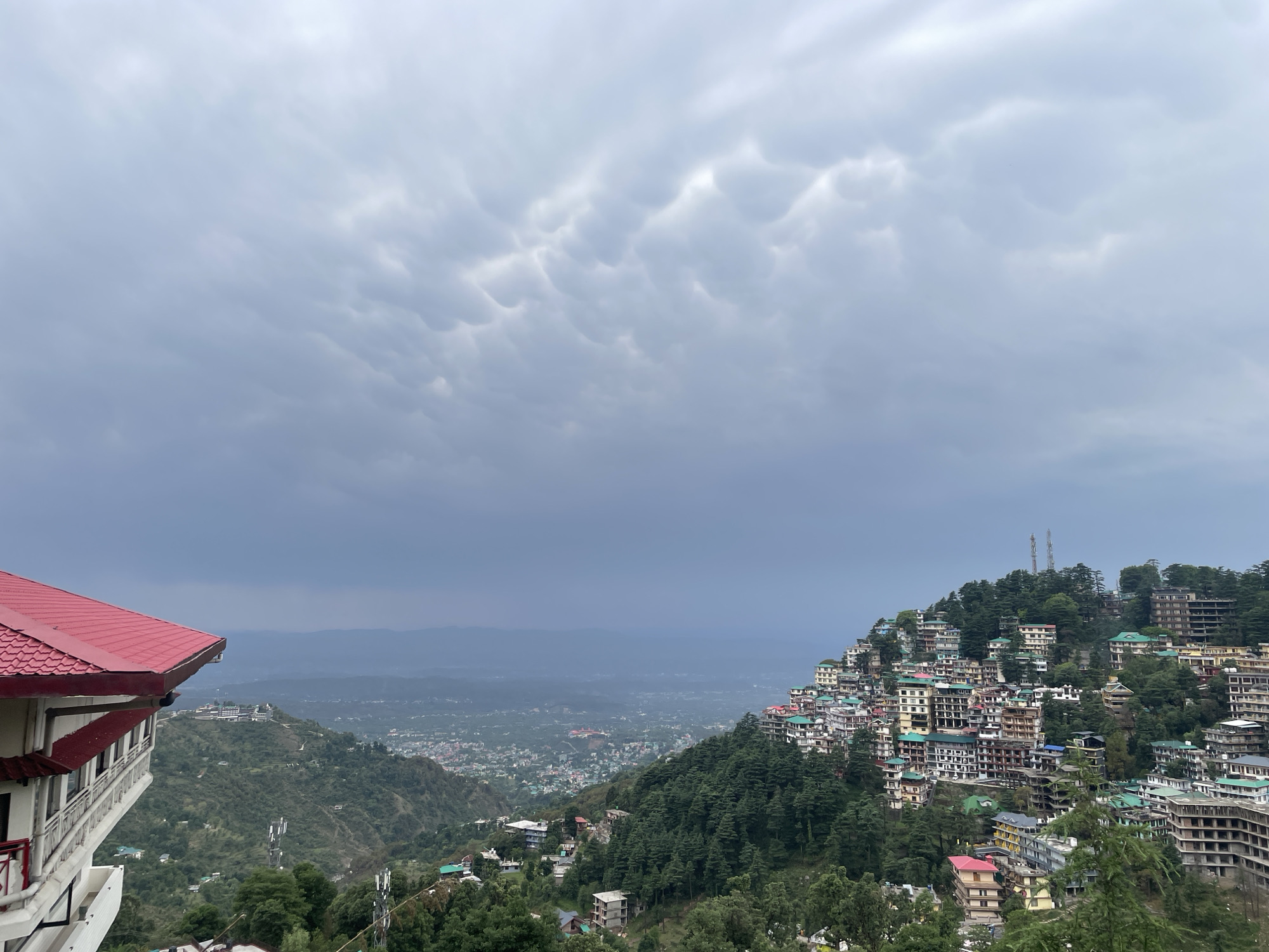 Daily life moments documented across Bhagsu, India morning hours