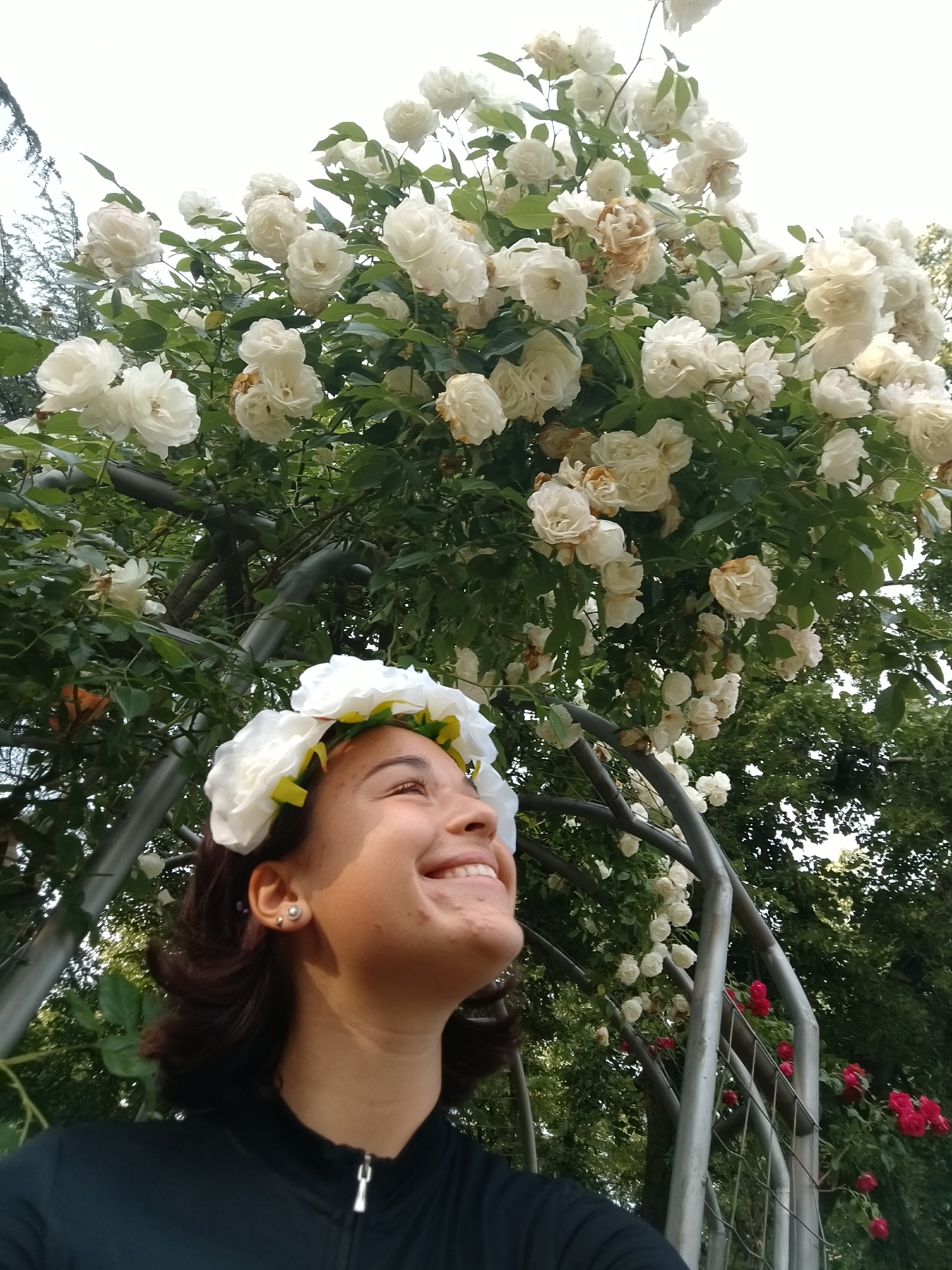 Woman photographed in Kazanlak rose garden amid blooming flowers