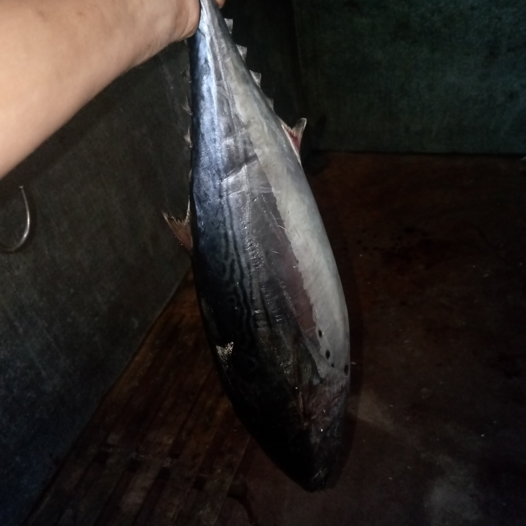 Daily life documented in Juan Griego fishing town