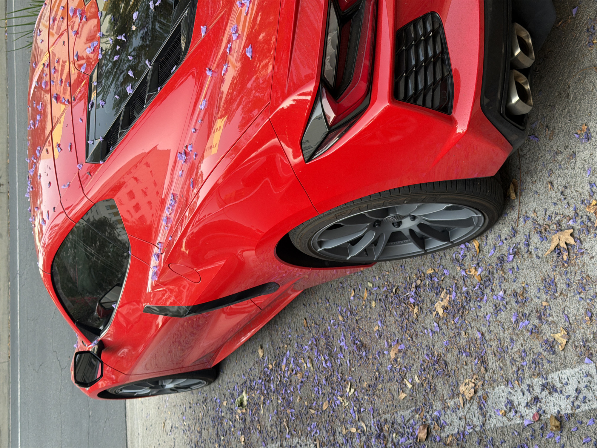 Red Corvette parked on Jacaranda-covered LA street