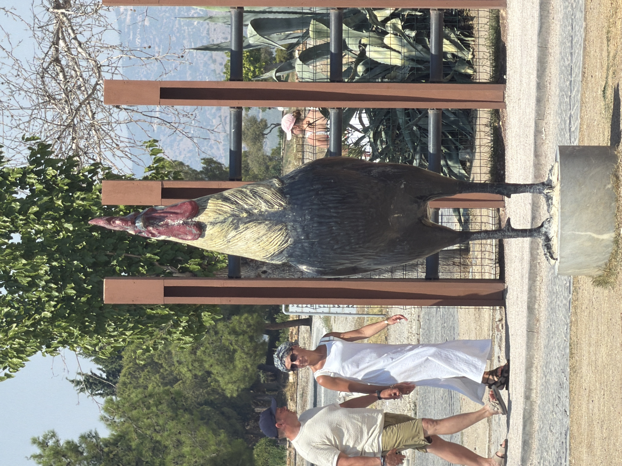 Pamukkale ruins visit: rooster statue, ancient stones, selfie stop