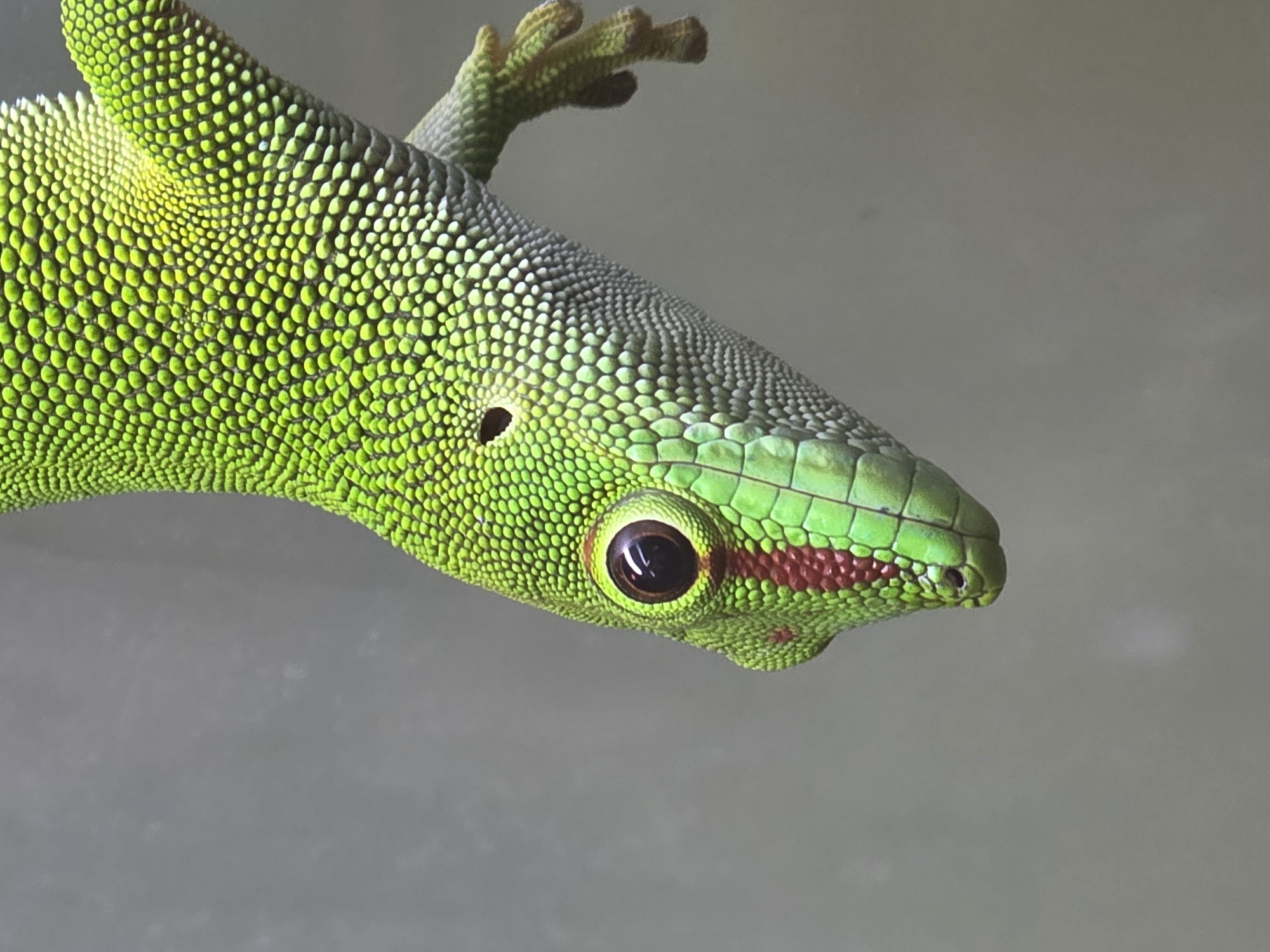 Visitor documents wildlife at Tijuana aquarium facility