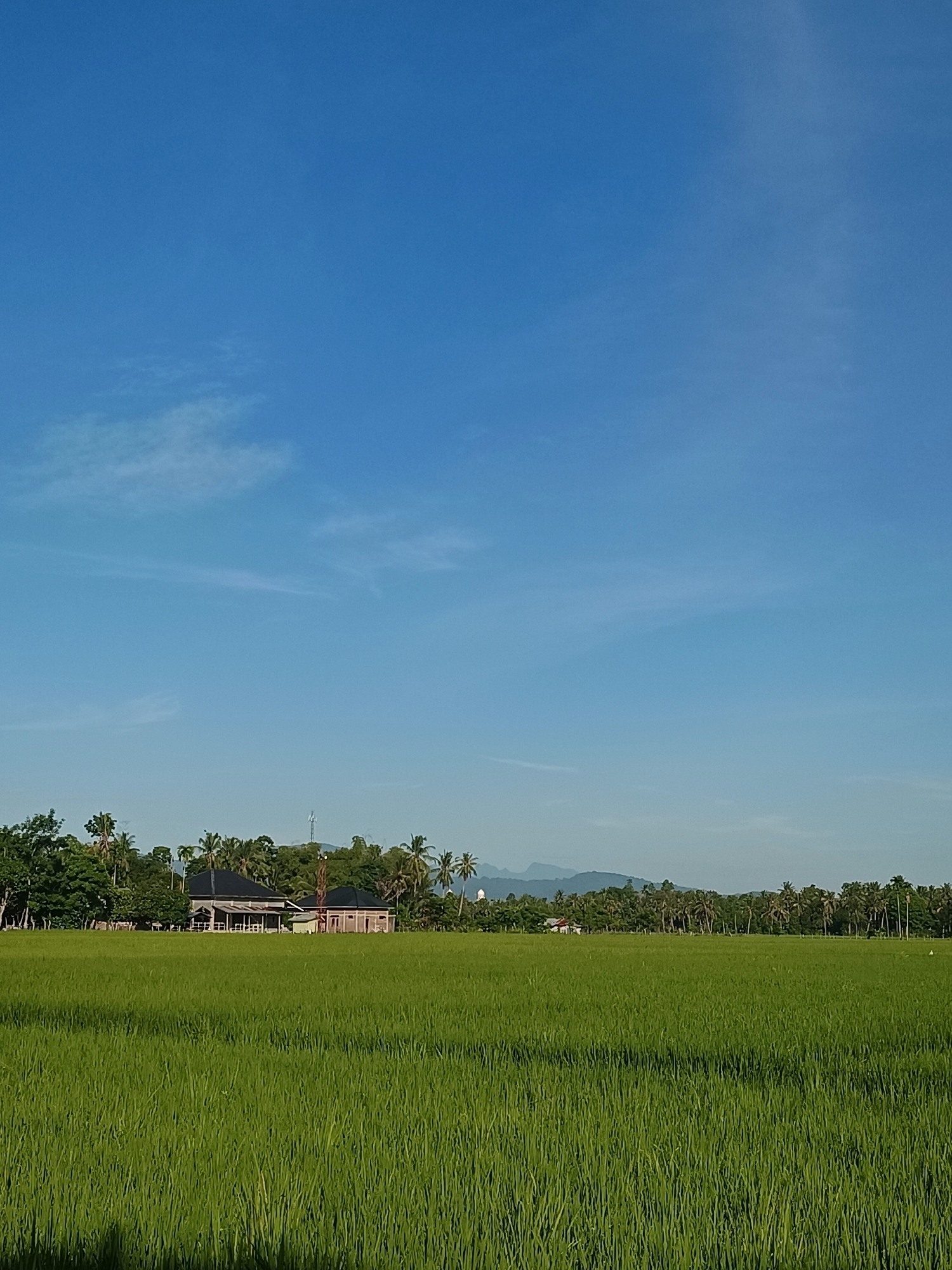 Dayah Bubue, Indonesia