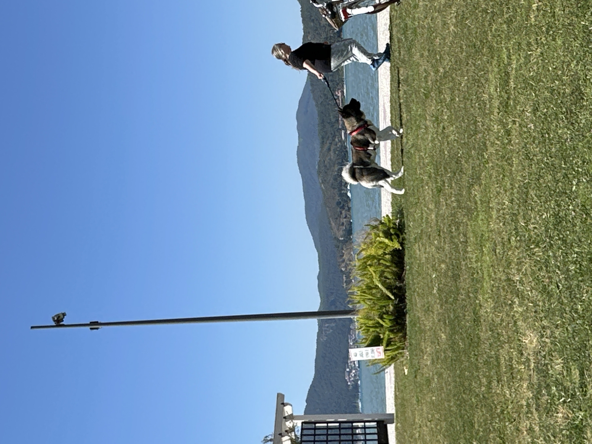 Woman walks dogs along Fethiye waterfront near Turkish boat