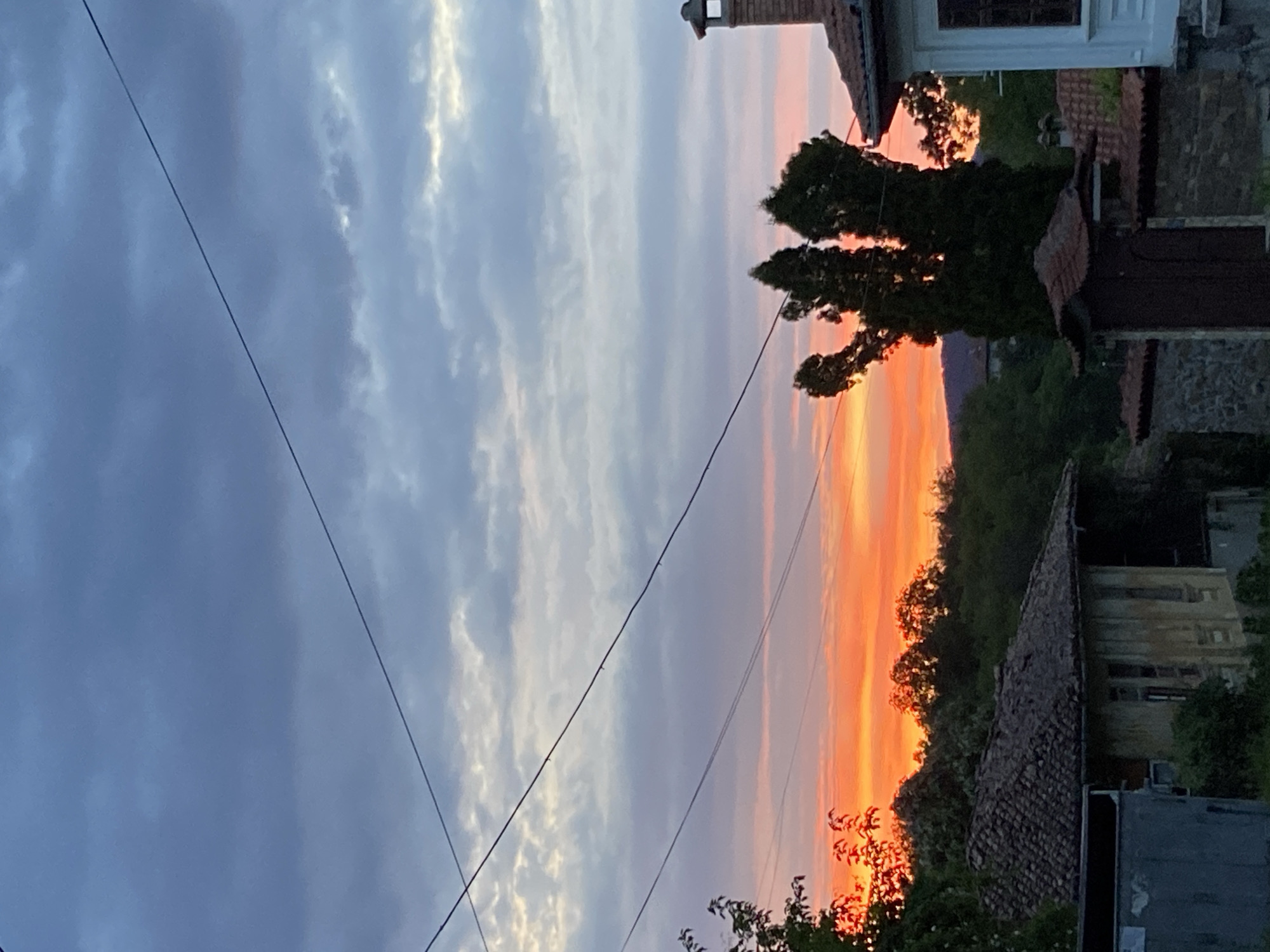 Evening scenes captured in Mindia: sunset views and dogs walking