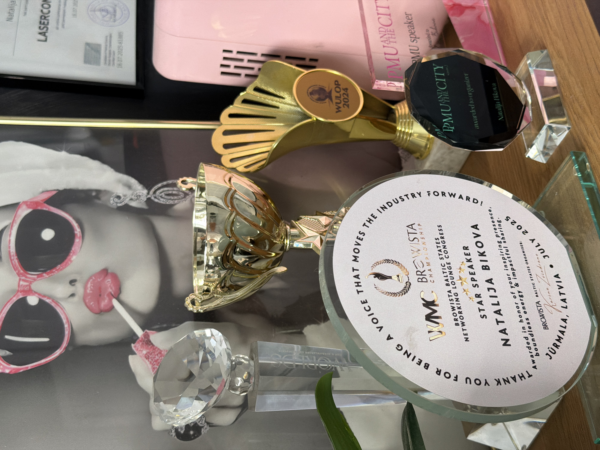 Awards display arranged on glass table in Riga