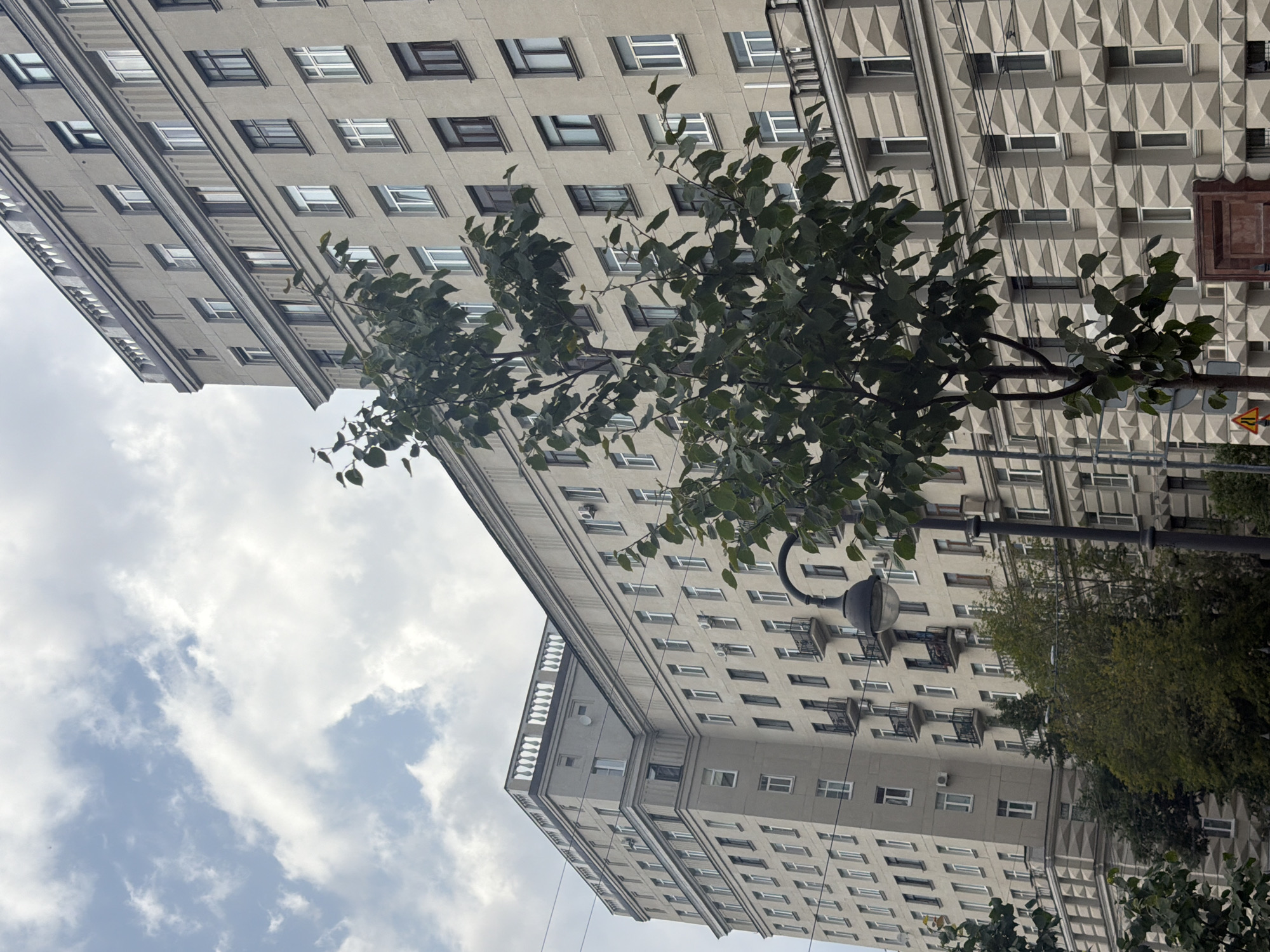 Lazy summer afternoon in a Saint Petersburg park