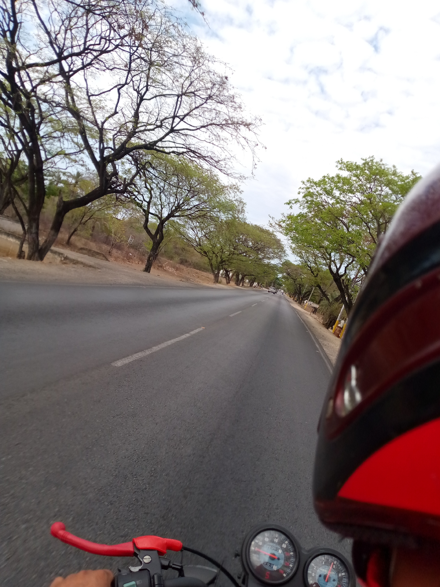 Motorcycle rider travels tree-lined road in Las Barrancas, Venezuela