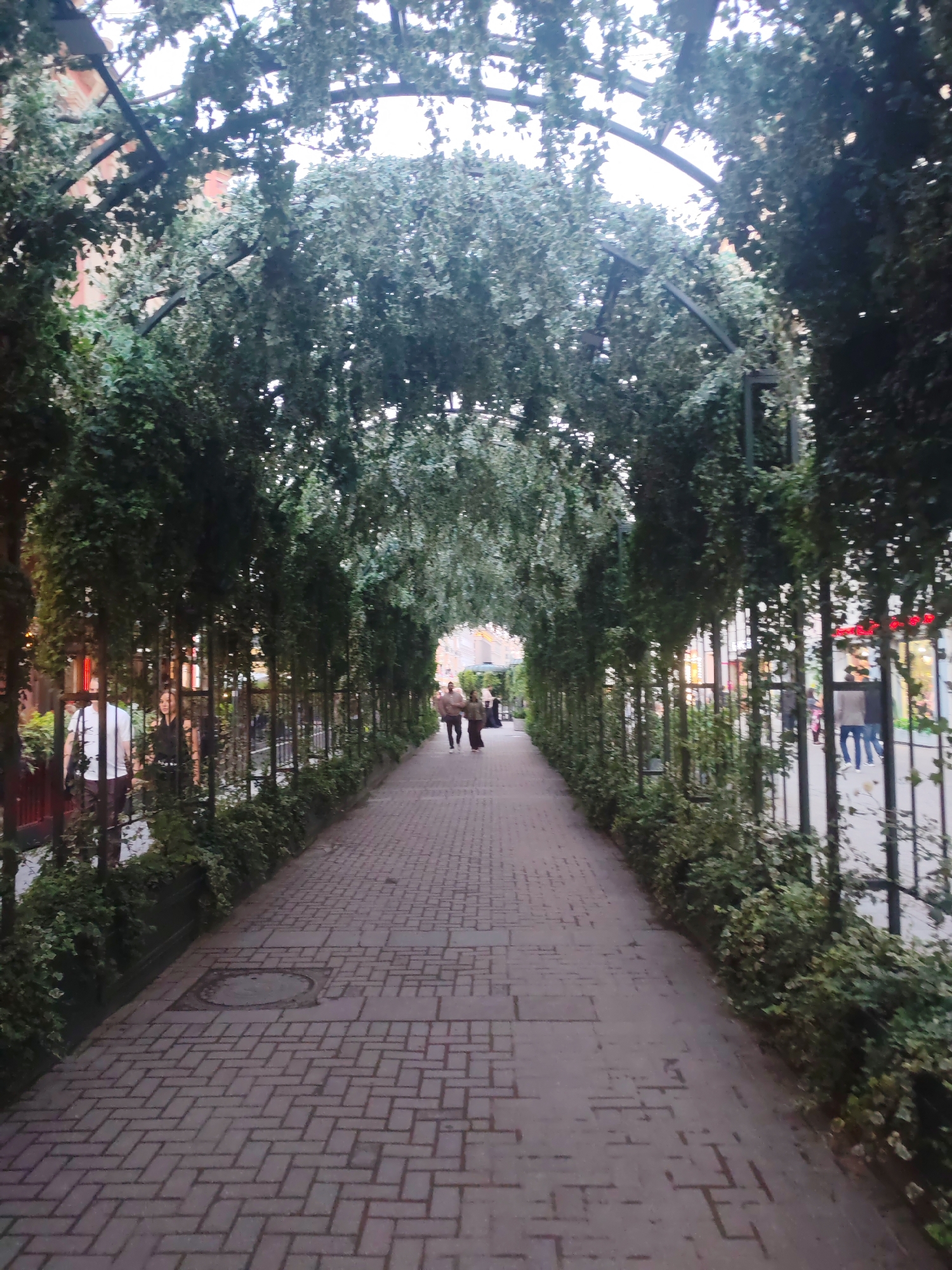 Moscow pedestrian path: ivy arches, cherry sculpture, street murals