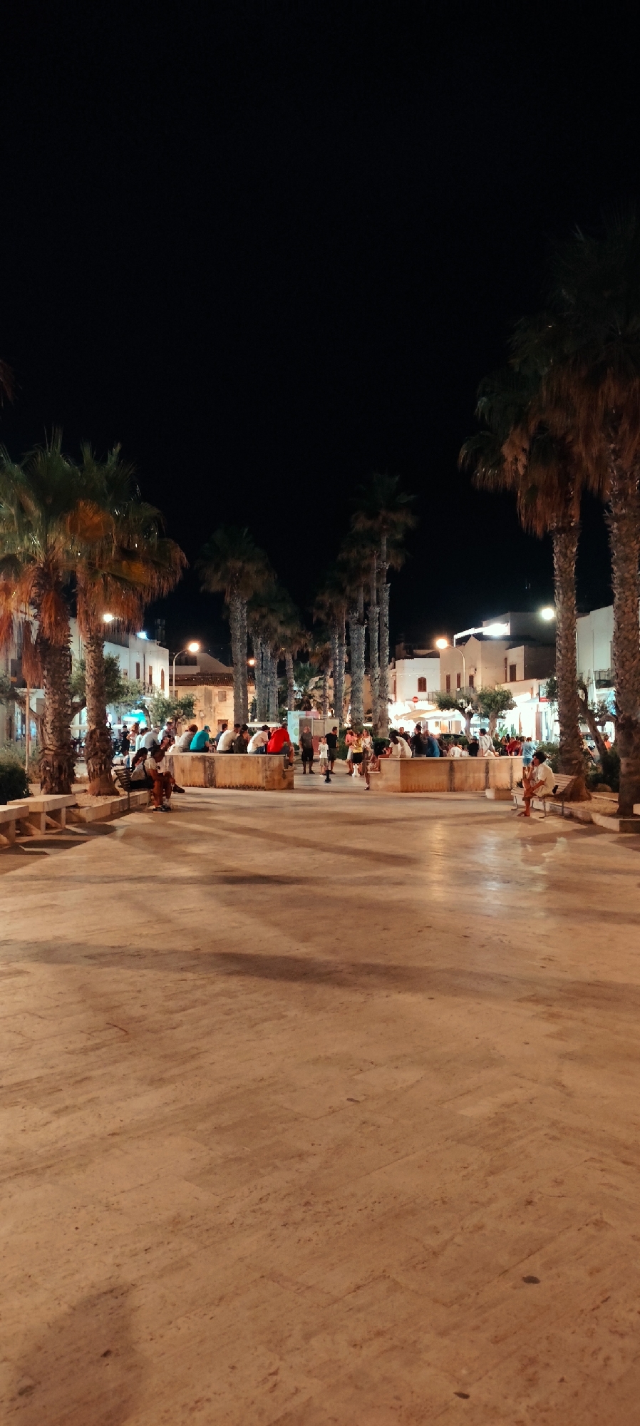 Night streets of San Vito Lo Capo, cat included