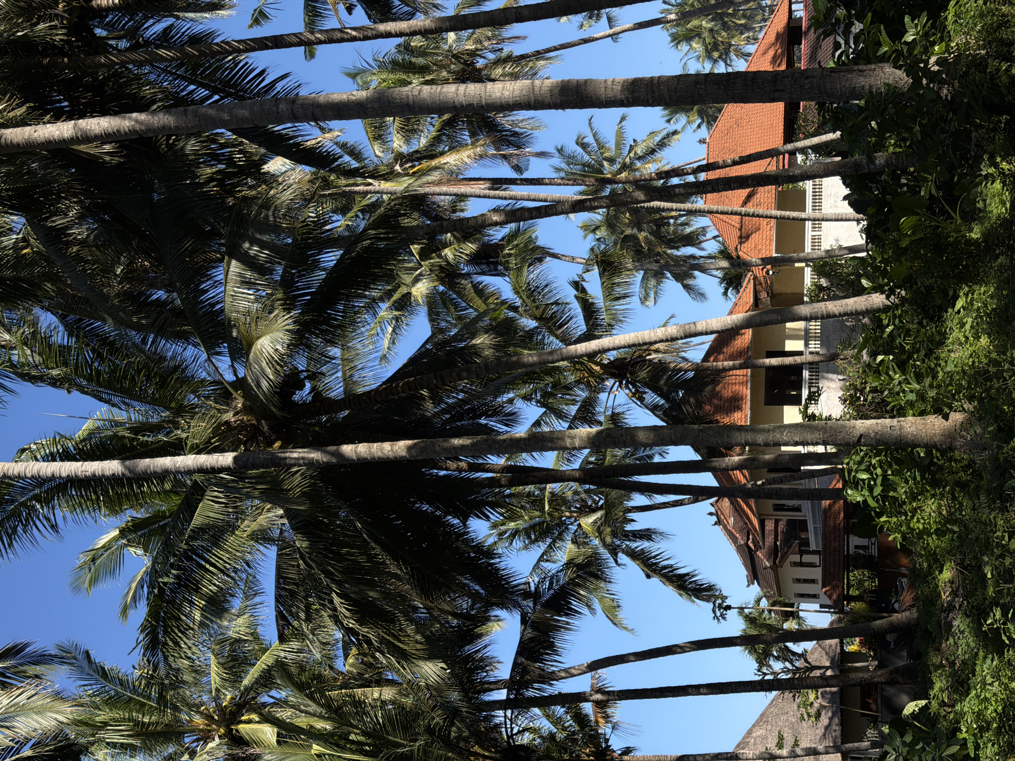Clear morning skies over tropical Karangasem resort area