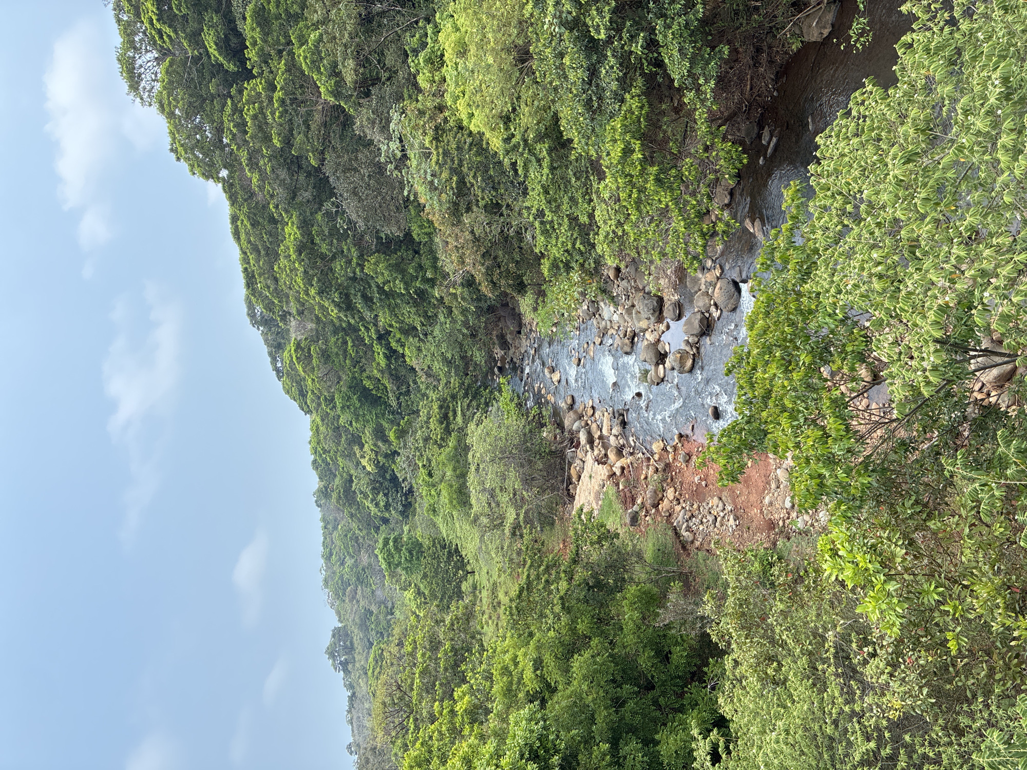 Rocky stream flows through forest near Pajapan, Mexico