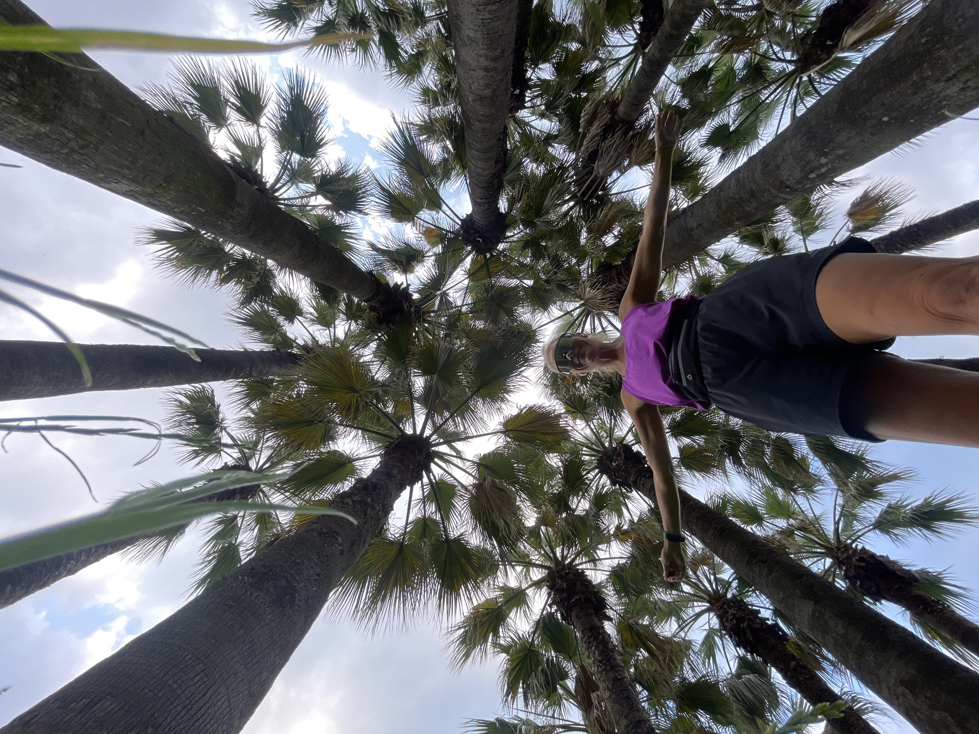 Outdoor workout and selfies in a Sochi palm park