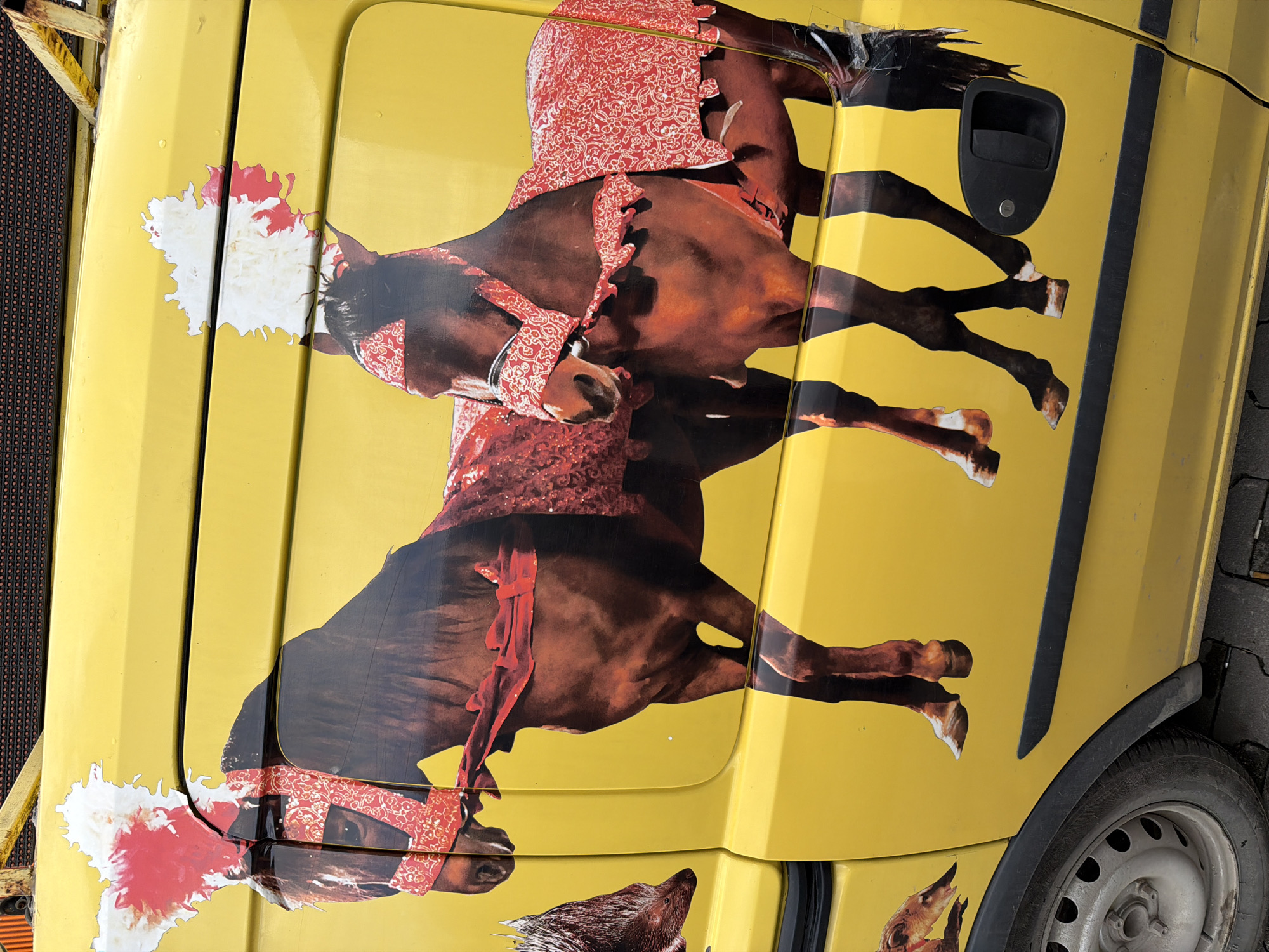 Yellow vehicle with horse graphics spotted in Chirpan, Bulgaria