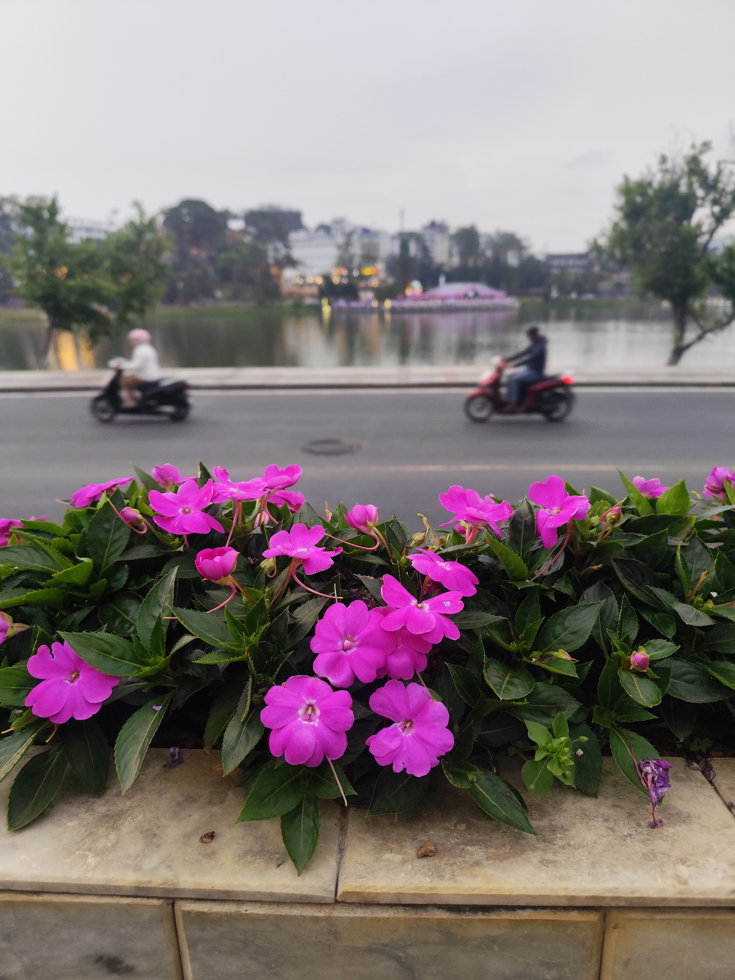 Colorful flowers line waterside street in Da Lat Vietnam