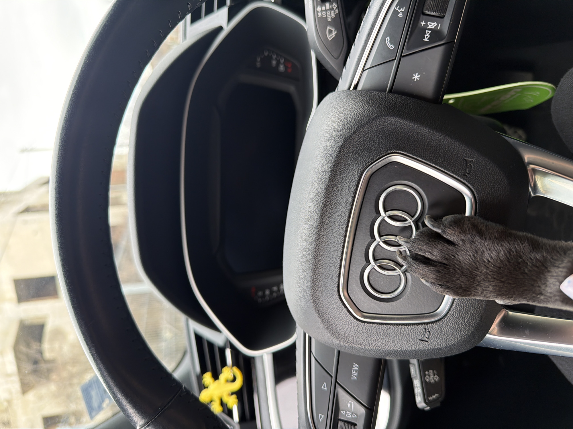 Dog's paw on Audi steering wheel in Bulgaria