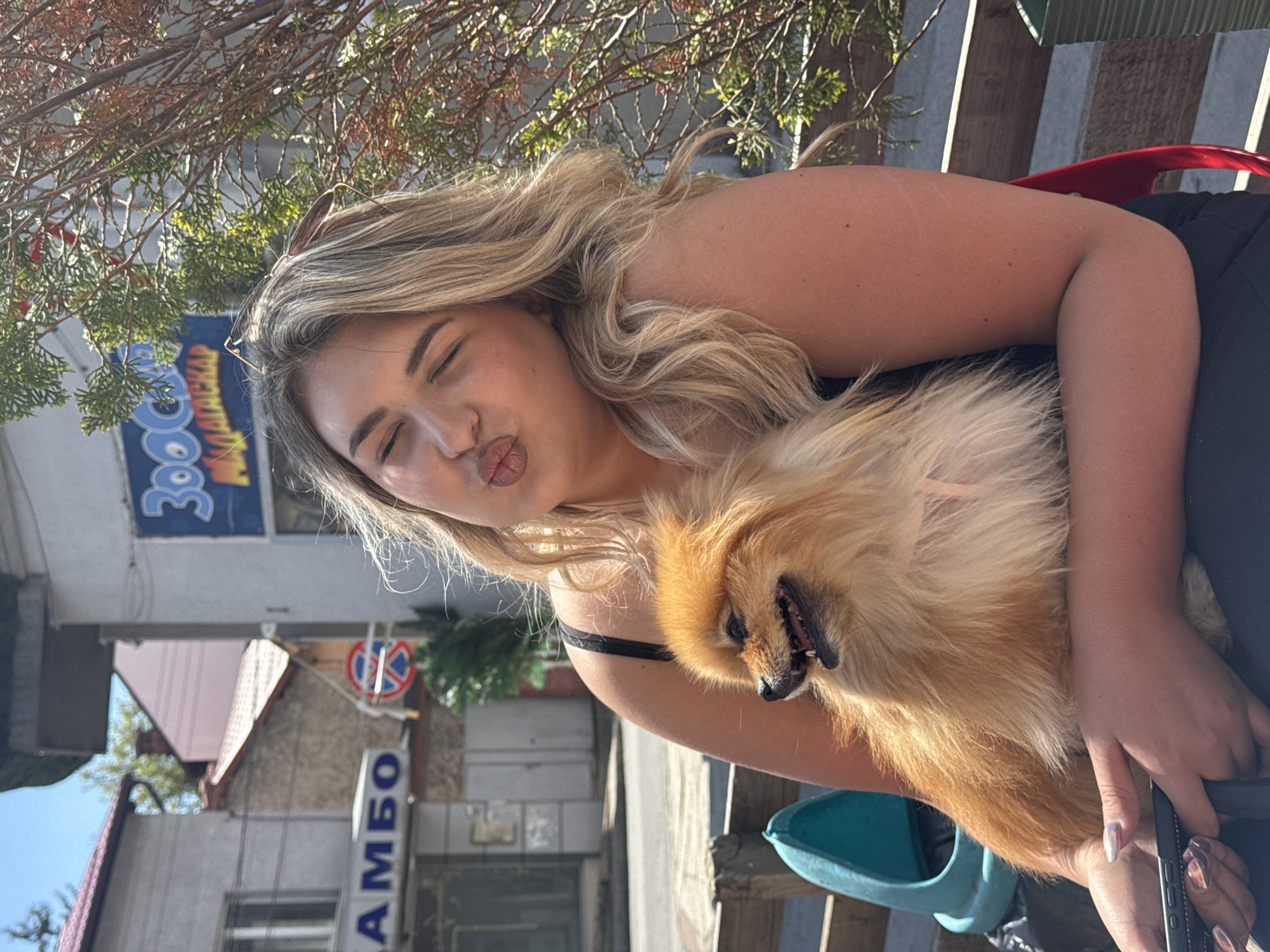Woman poses with Pomeranian dog in sunny Dupnitsa
