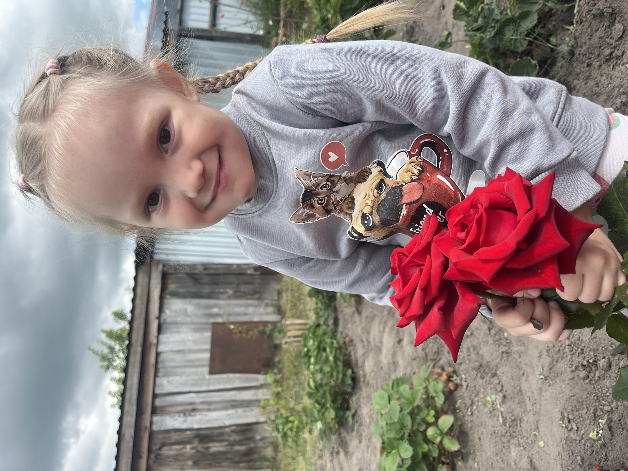 Garden day in rural Russia: flowers, a dog, and summer moments