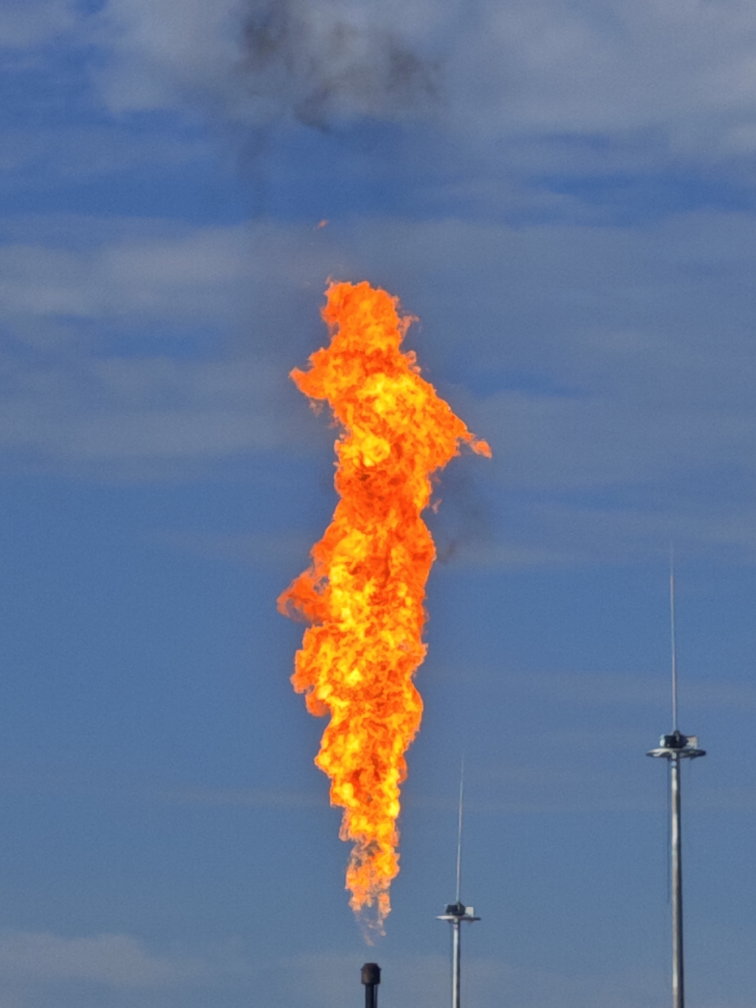 Wildlife spotted at industrial facility with active flare operations