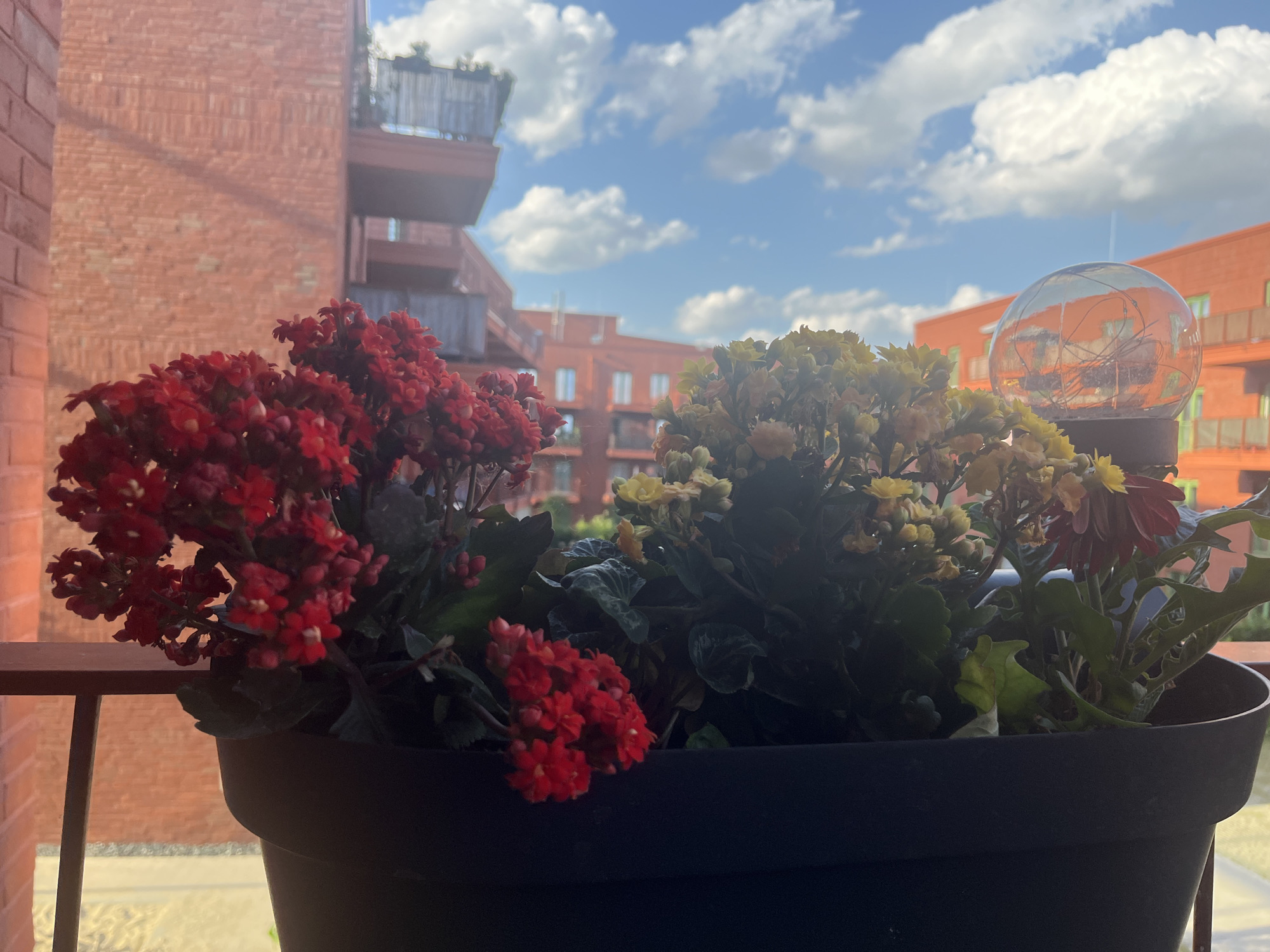 Summer balcony view: flowers and open sky in Hanover