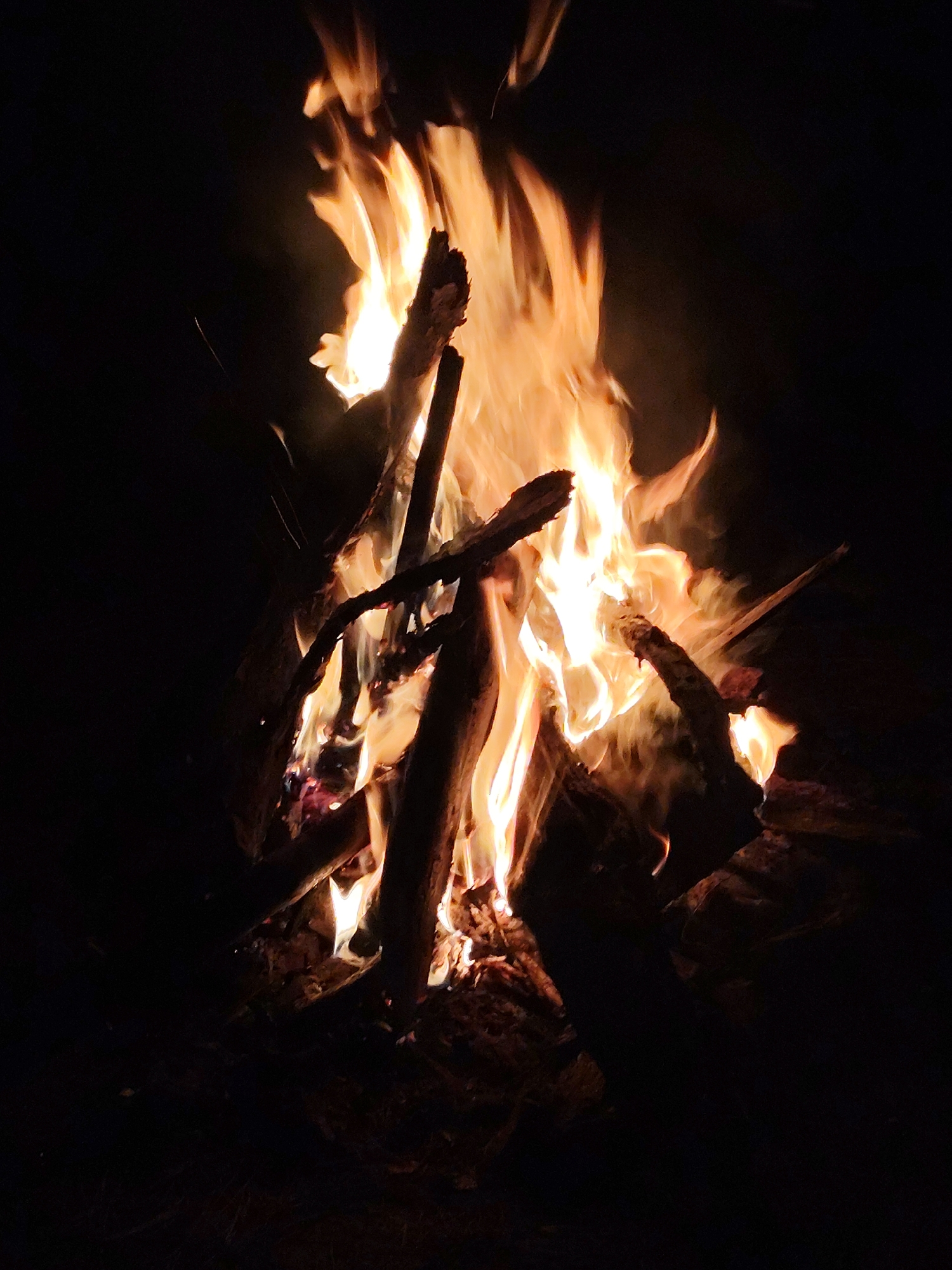 Man observed at nighttime bonfire in forested area