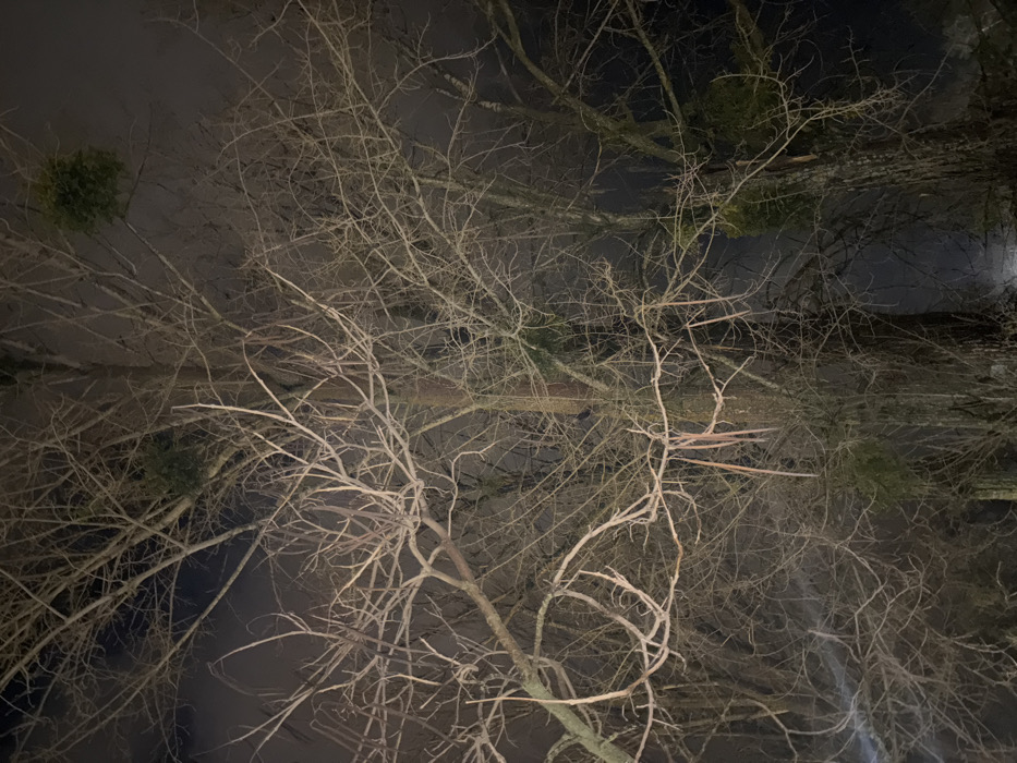 Winter night documentation captured across Ifrane, Morocco