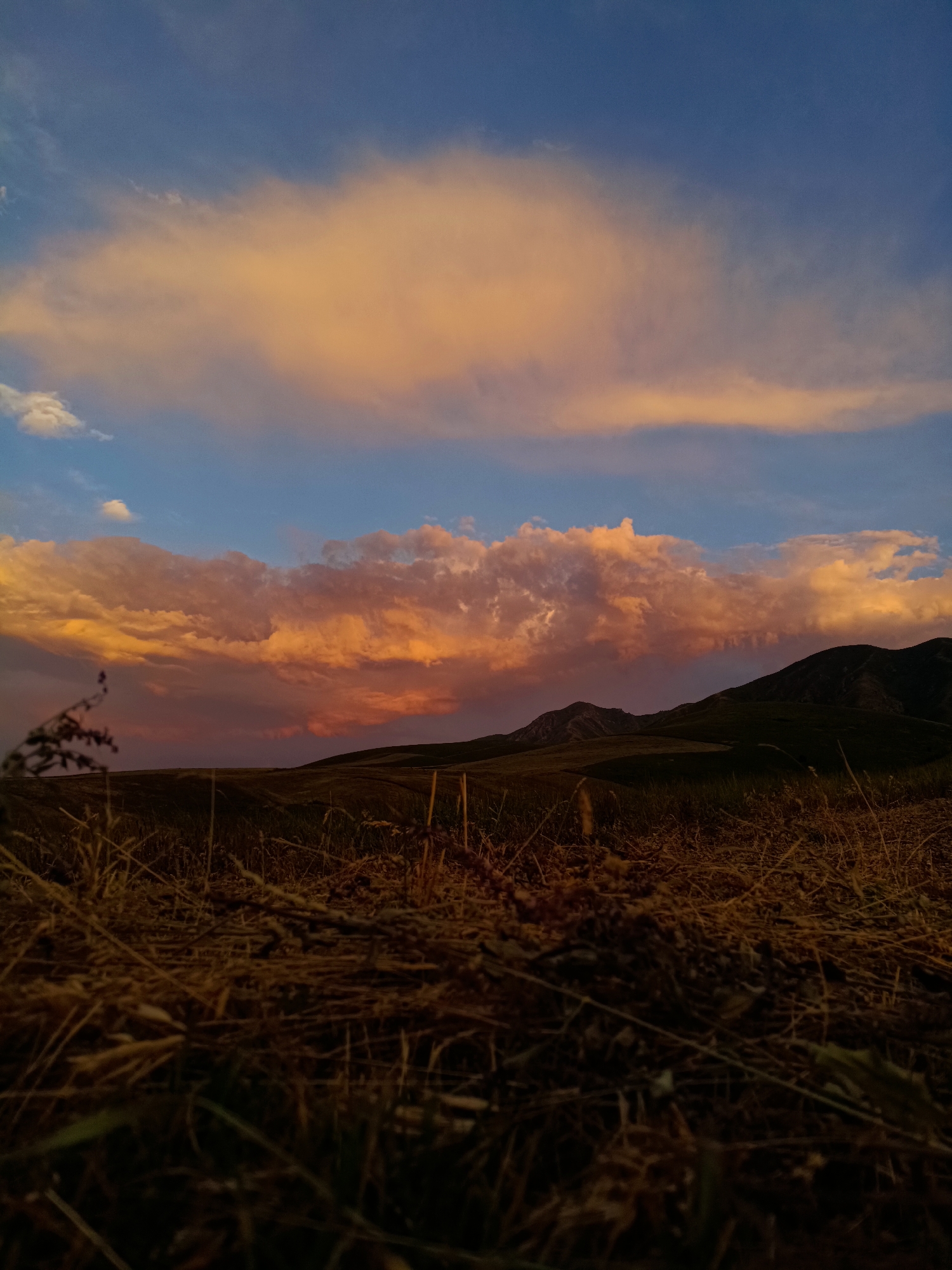 Mountain biking through Arashan at golden hour