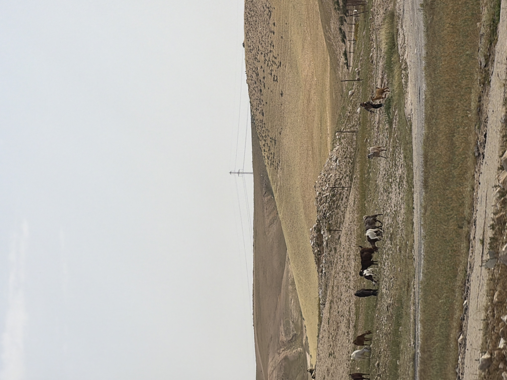 Morning landscape documented in Abu Quraynat shows arid terrain