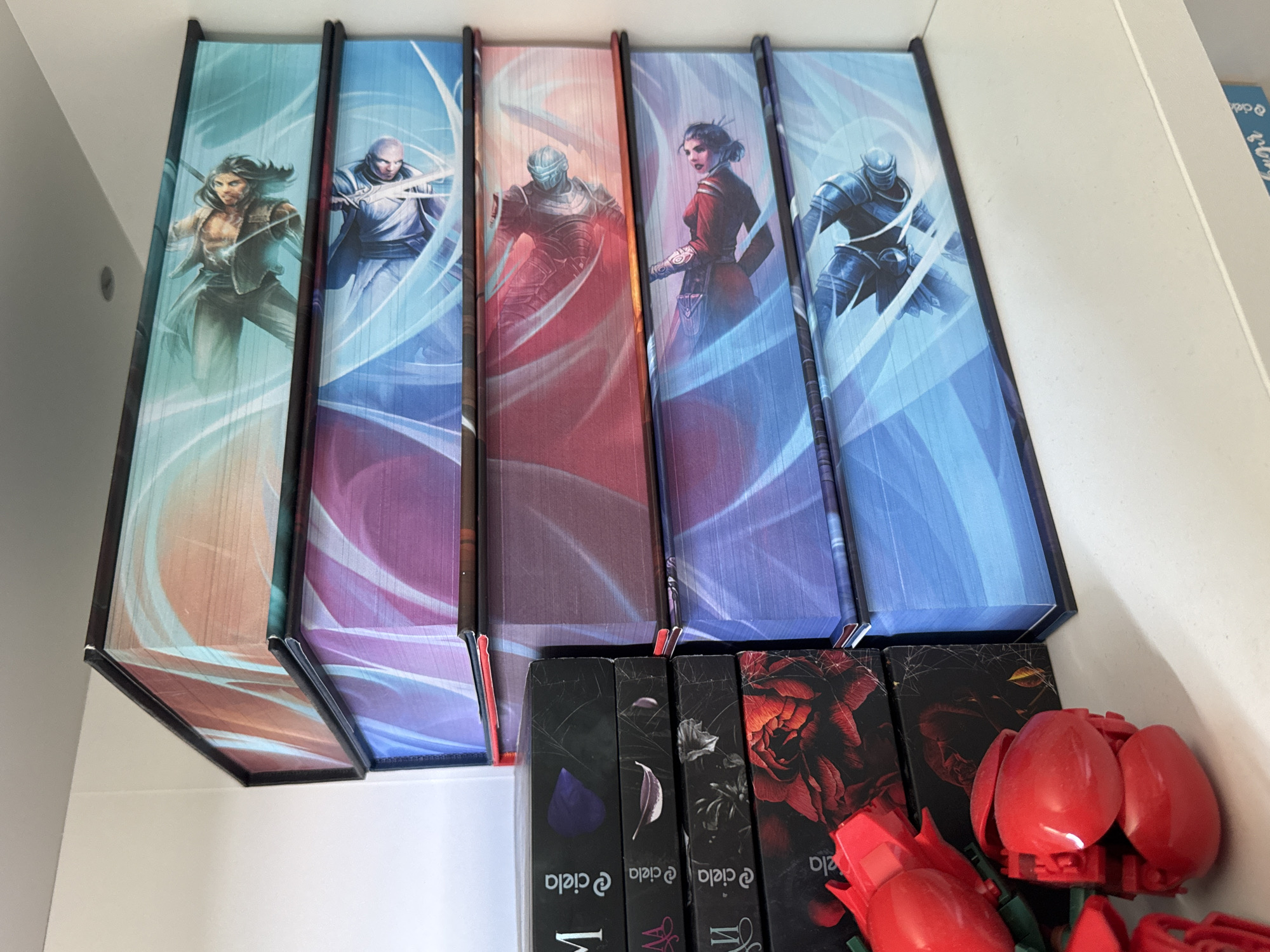 Bookshelf with matching combat-themed hardcover books spotted in Sofia