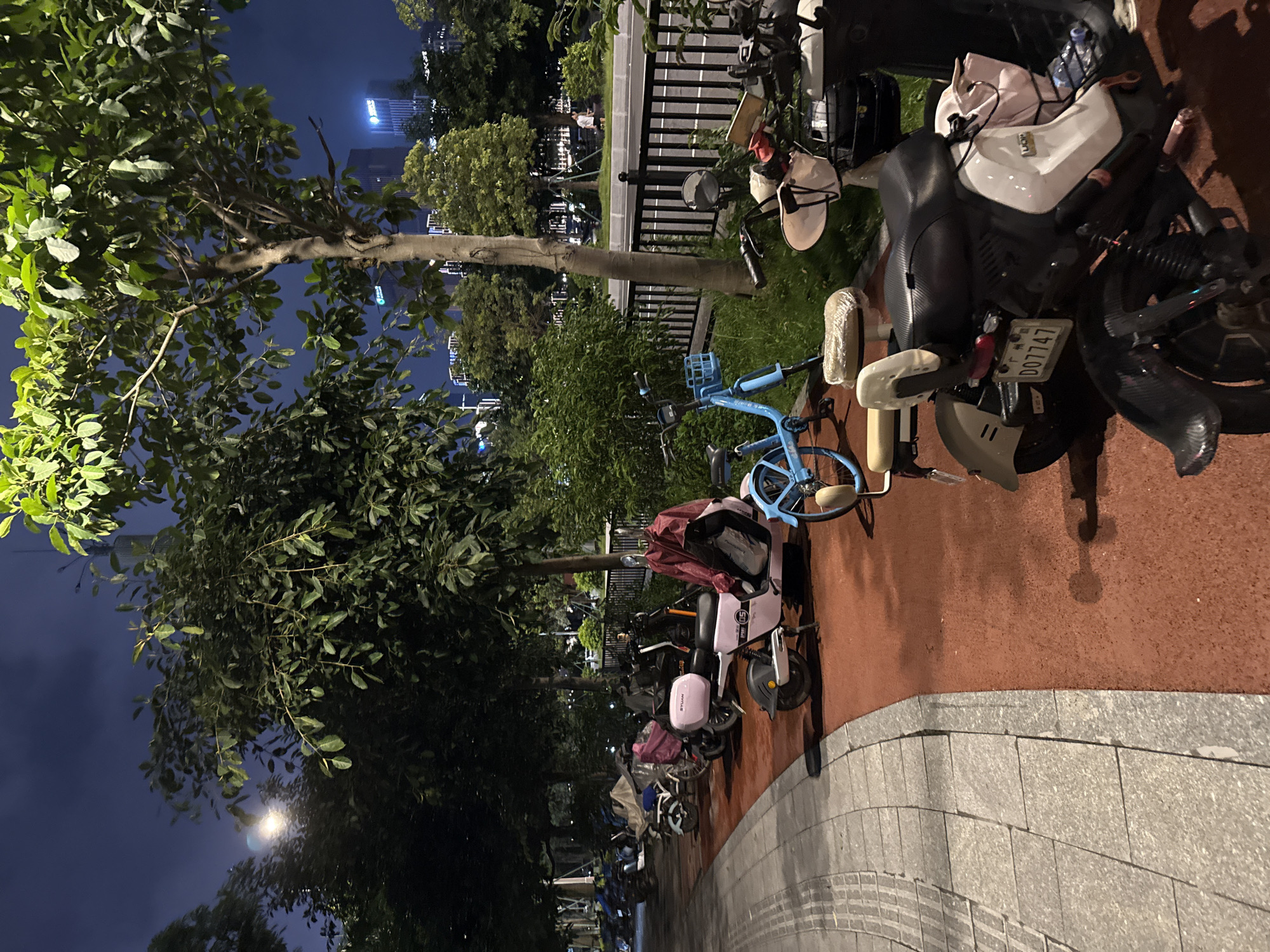 Nighttime stroll through a lit park in Haizhu District