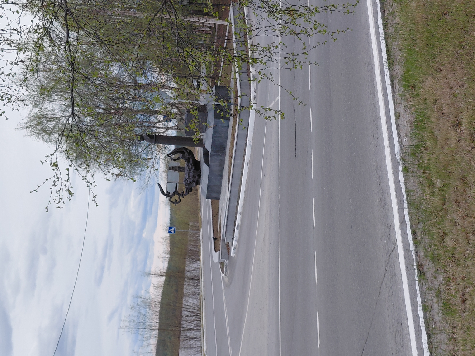 Spring walkabout documented in Nadym, Russia over 22 minutes
