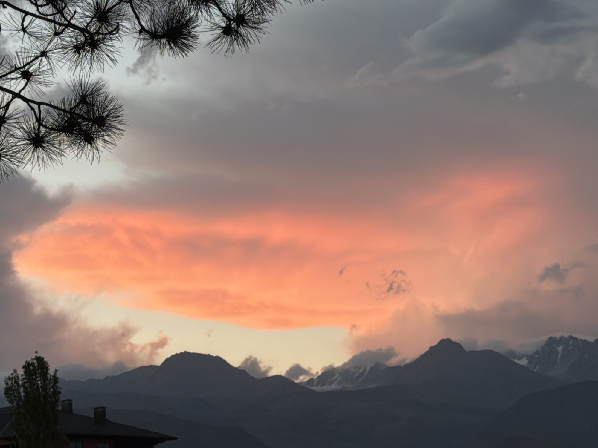Pine silhouette frames a mountain sunset near Çolpon-Ata