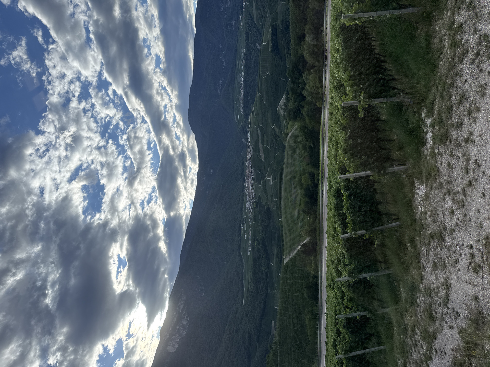 Vineyards and orchards sprawl across Trentino valley near Spormaggiore
