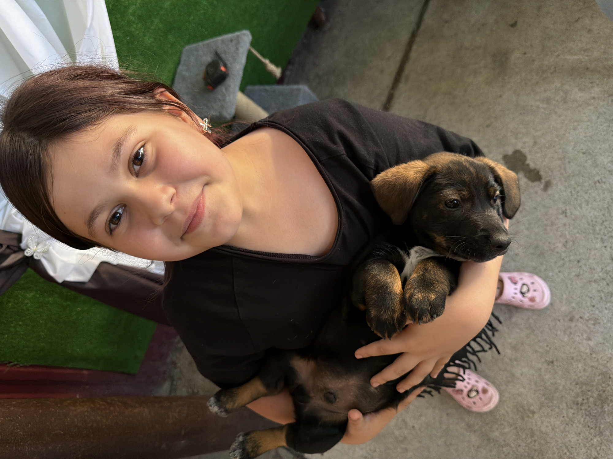 Afternoon with puppies and wildflowers in Tuapse
