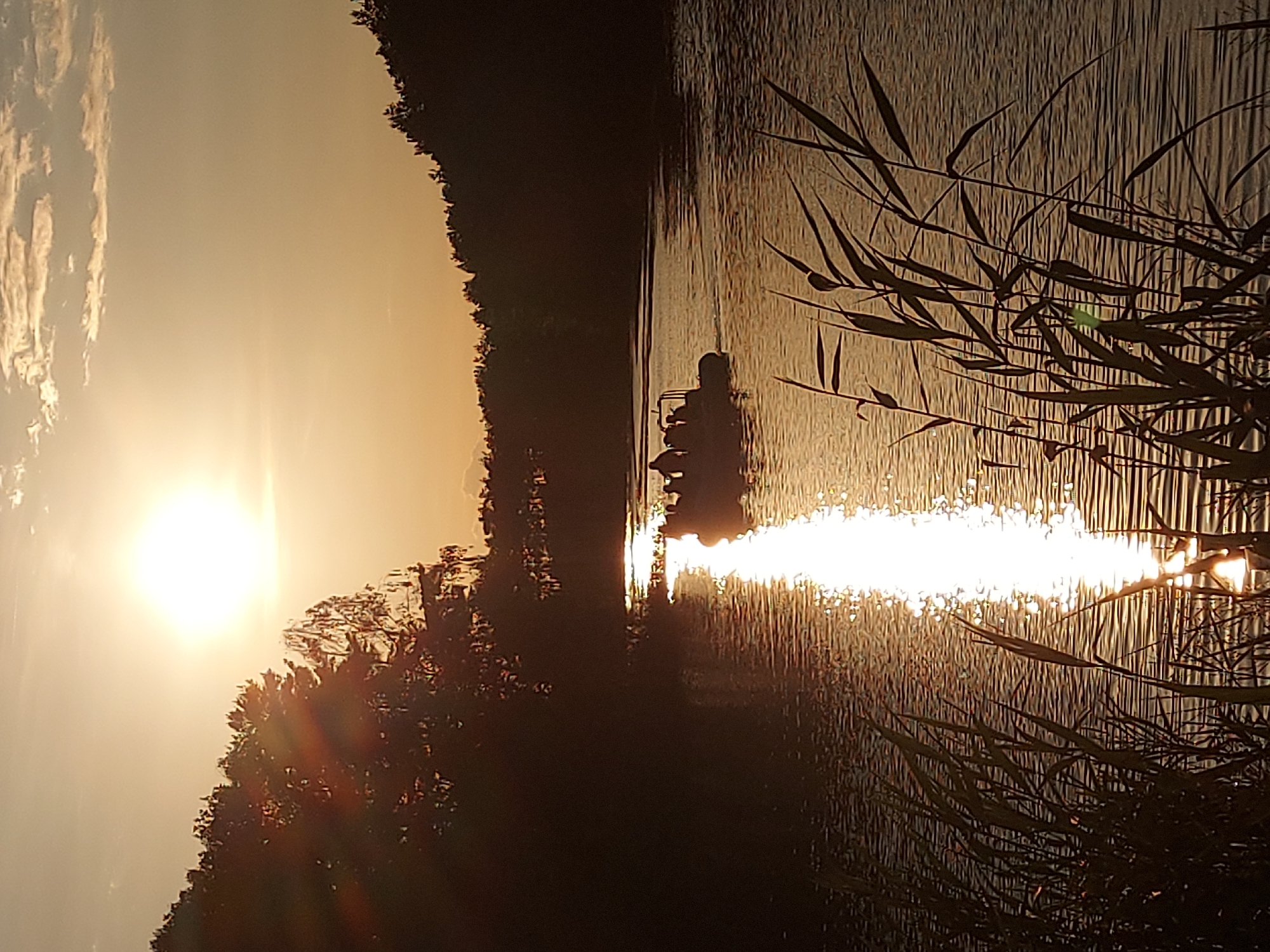 Sunset over calm water, with goats grazing close by