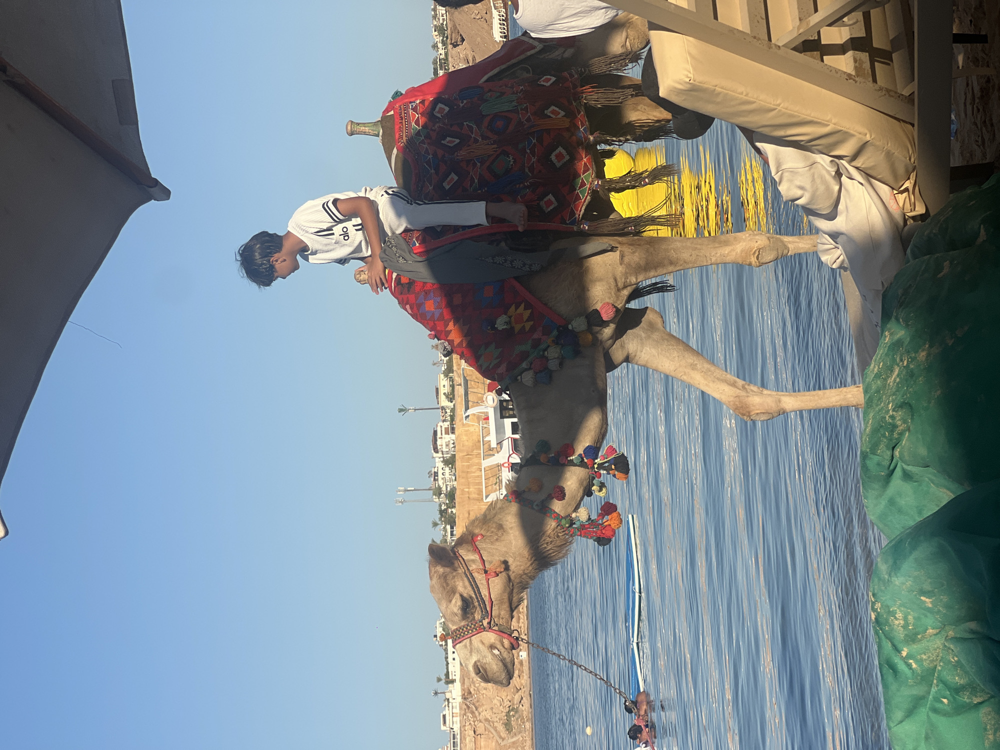 Lazy afternoon on the Red Sea shore, Sharm El Sheikh